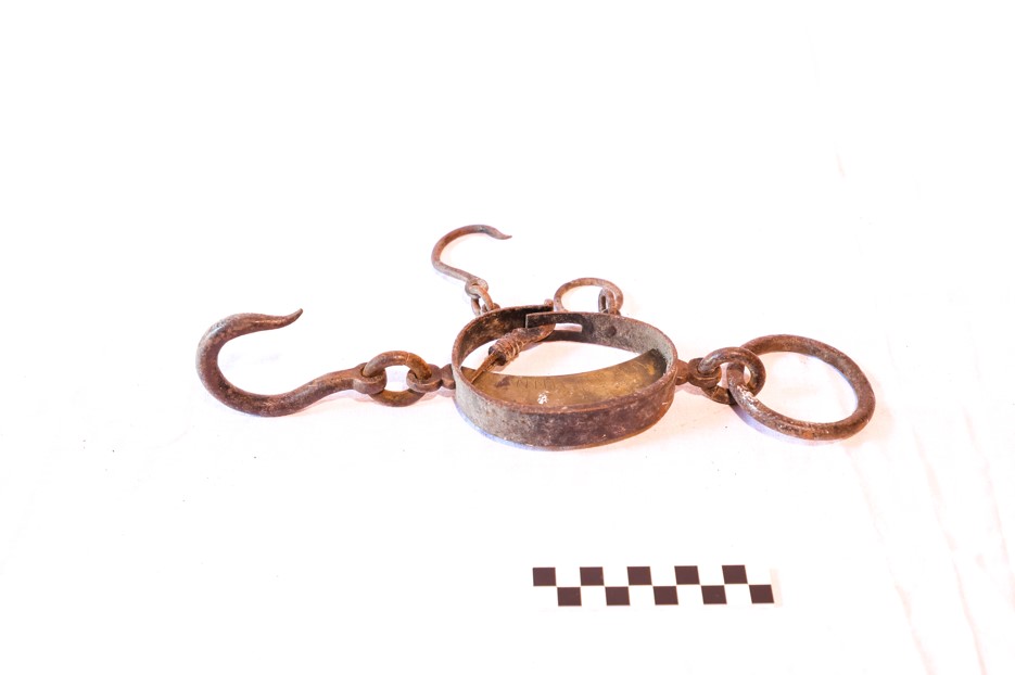 istadèa, dinamometro (bilancia, STRUMENTI E ACCESSORI/ AGRO-SILVO-PASTORALI)