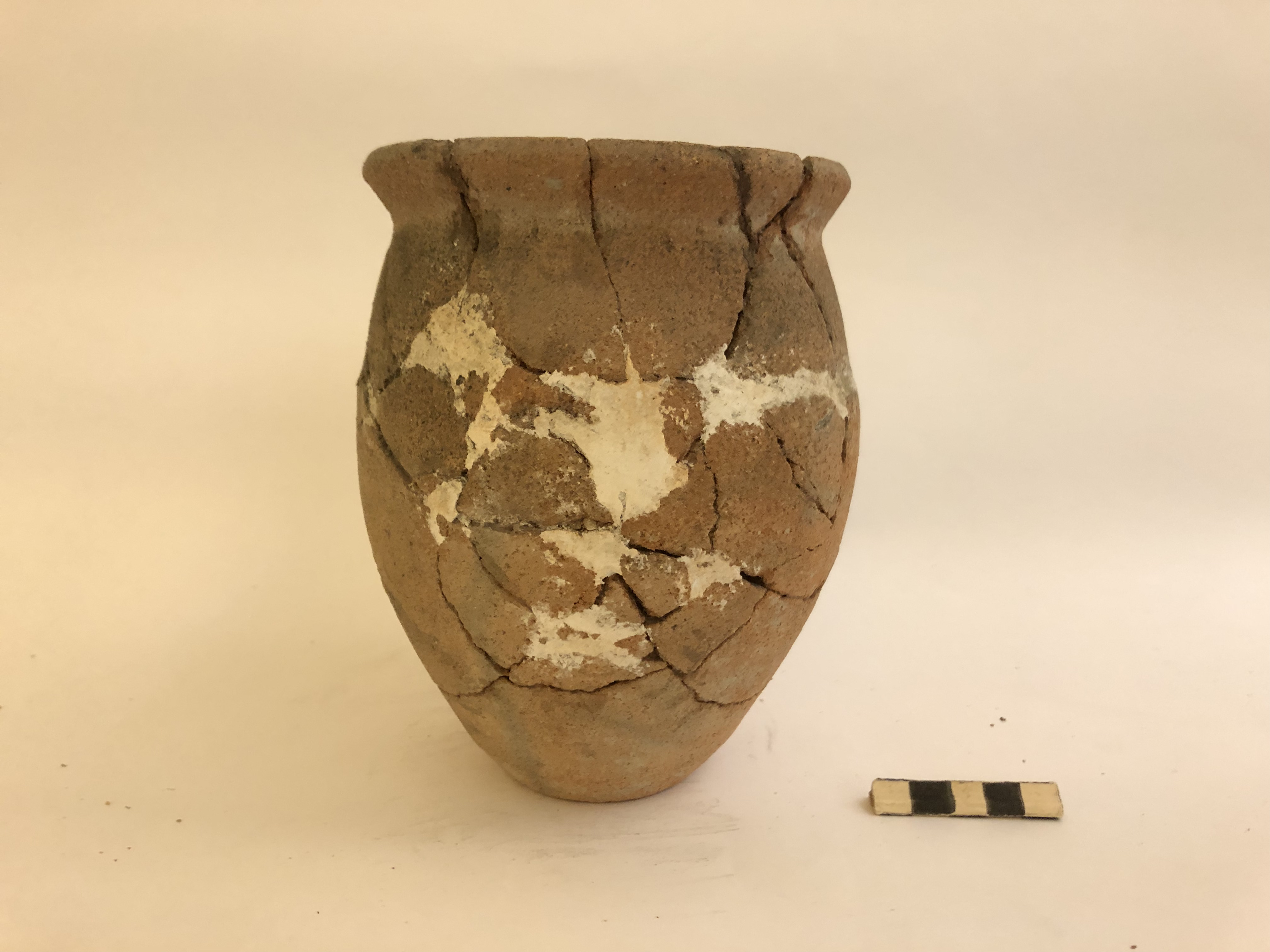 olla (non determinabile)