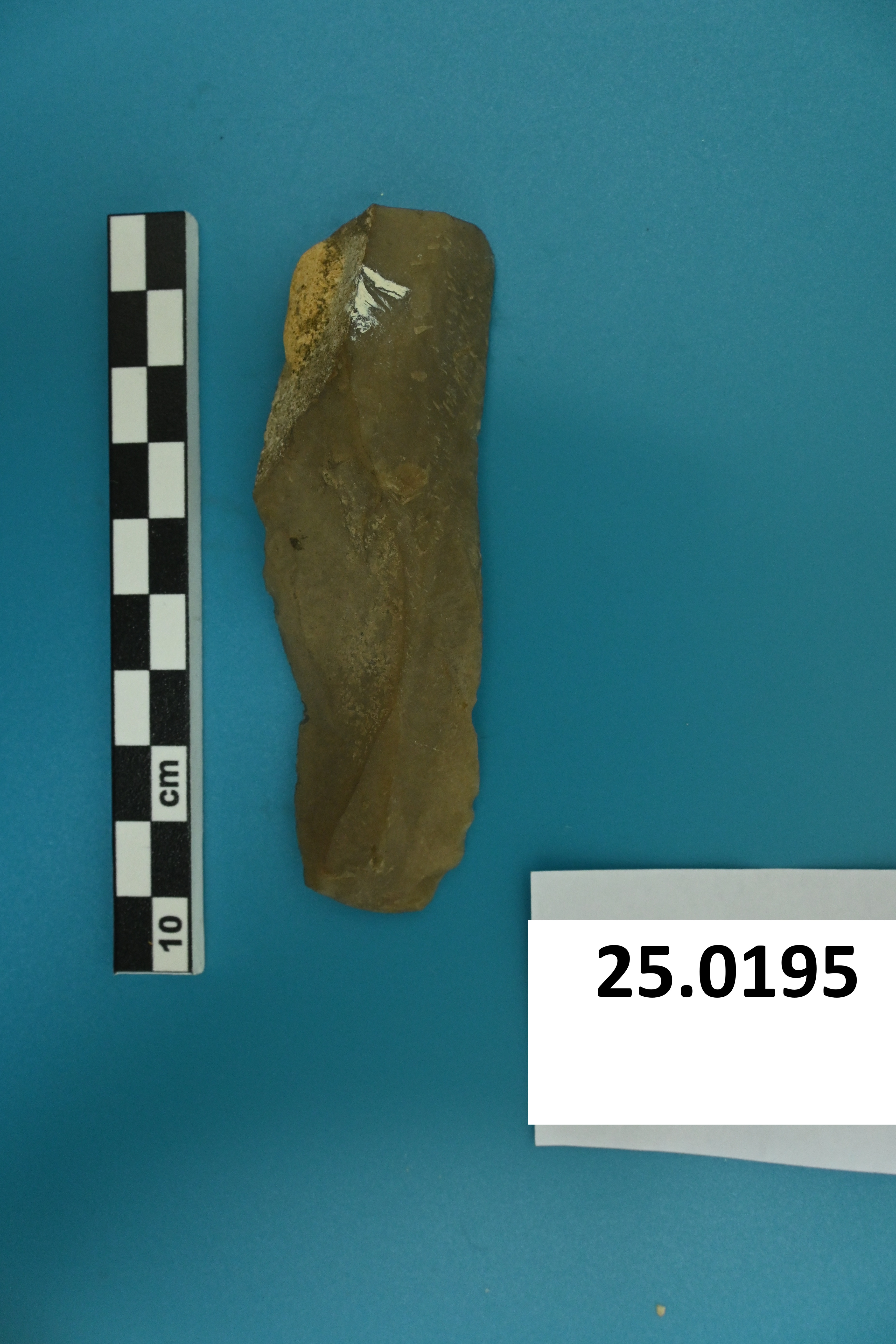 SINGOLO OGGETTO/ lama, PERIODIZZAZIONI/ PREISTORIA/ Predinastico