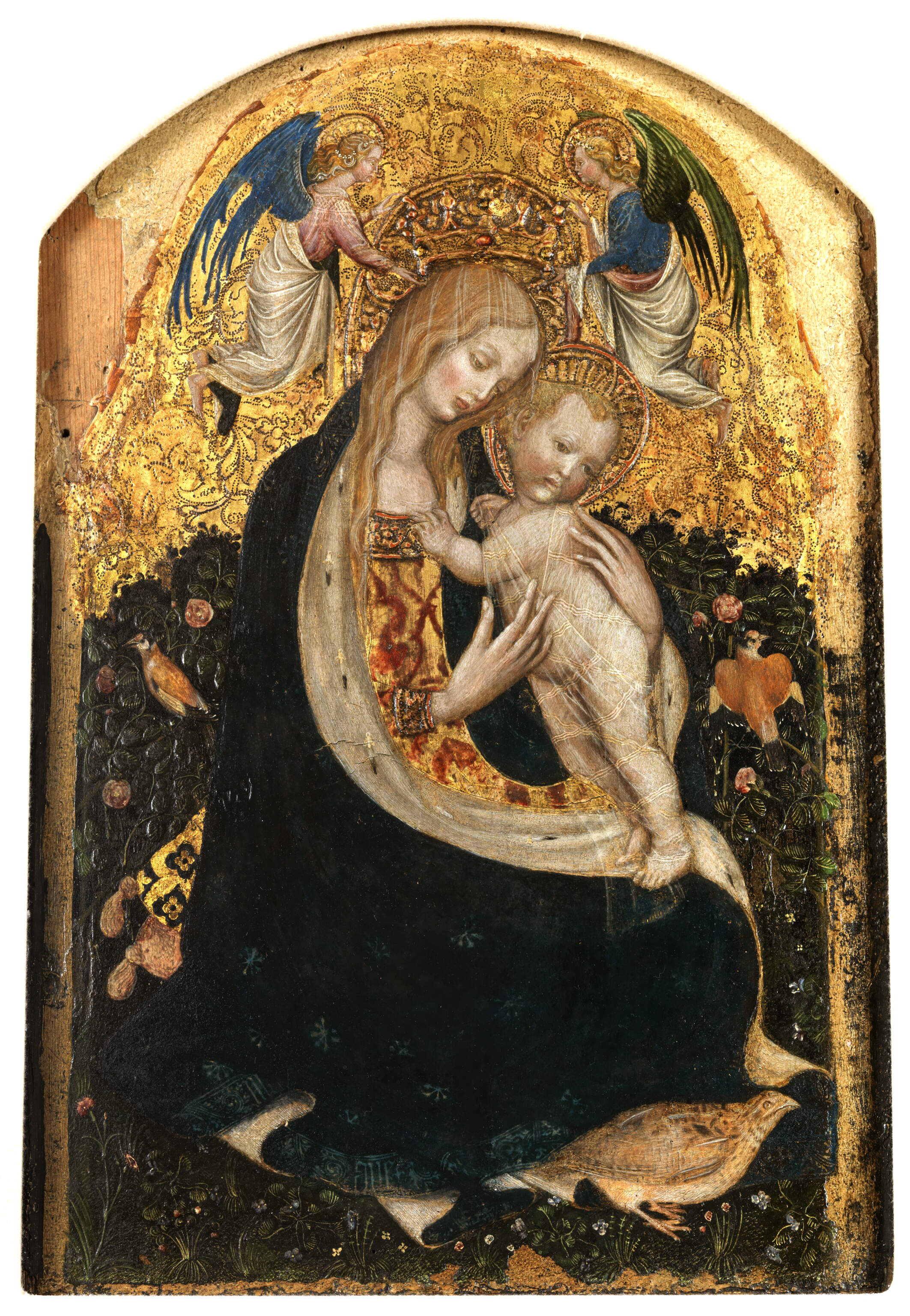 Madonna della quaglia, Madonna con il bambino, detta Madonna della quaglia (dipinto, opera isolata) di Pisanello (sec. XV)