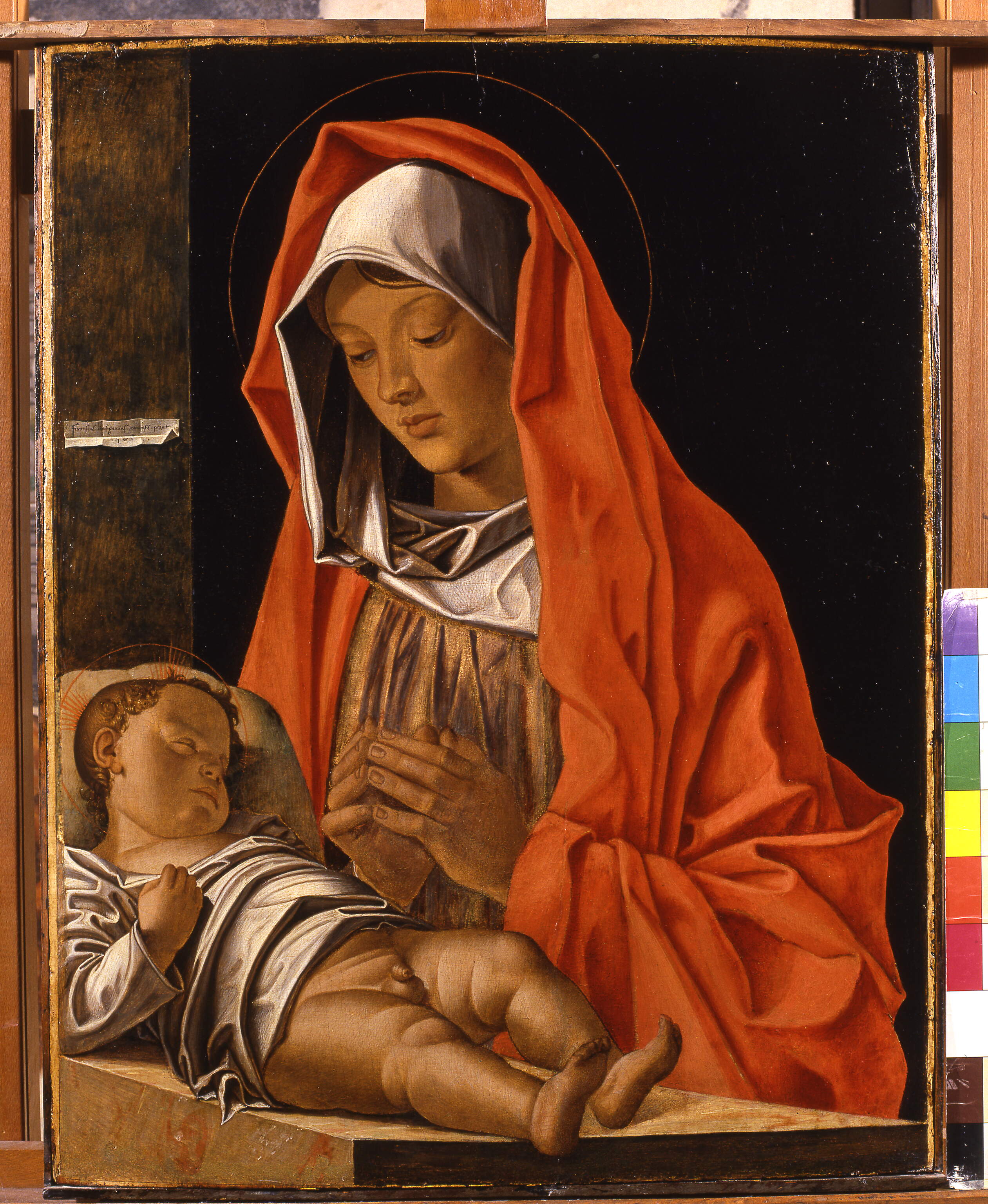 Madonna con il bambino, Madonna con il bambino (dipinto, opera isolata) di Bonsignori Francesco (sec. XV)