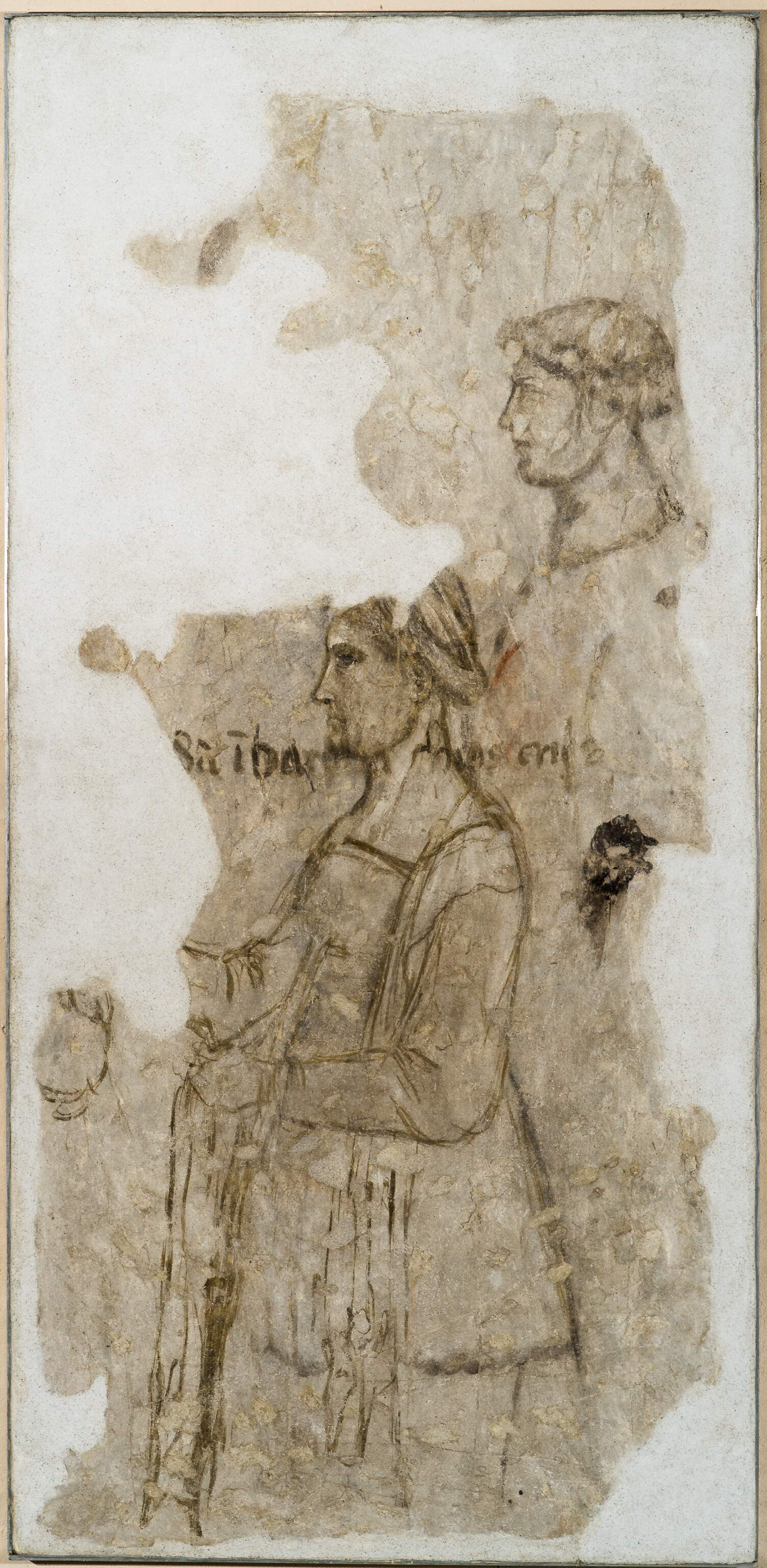 Figura femminile, testa di frate, Figura femminile, testa di frate (disegno murale, elemento d'insieme) di Altichiero (secc. XIV-XIV)