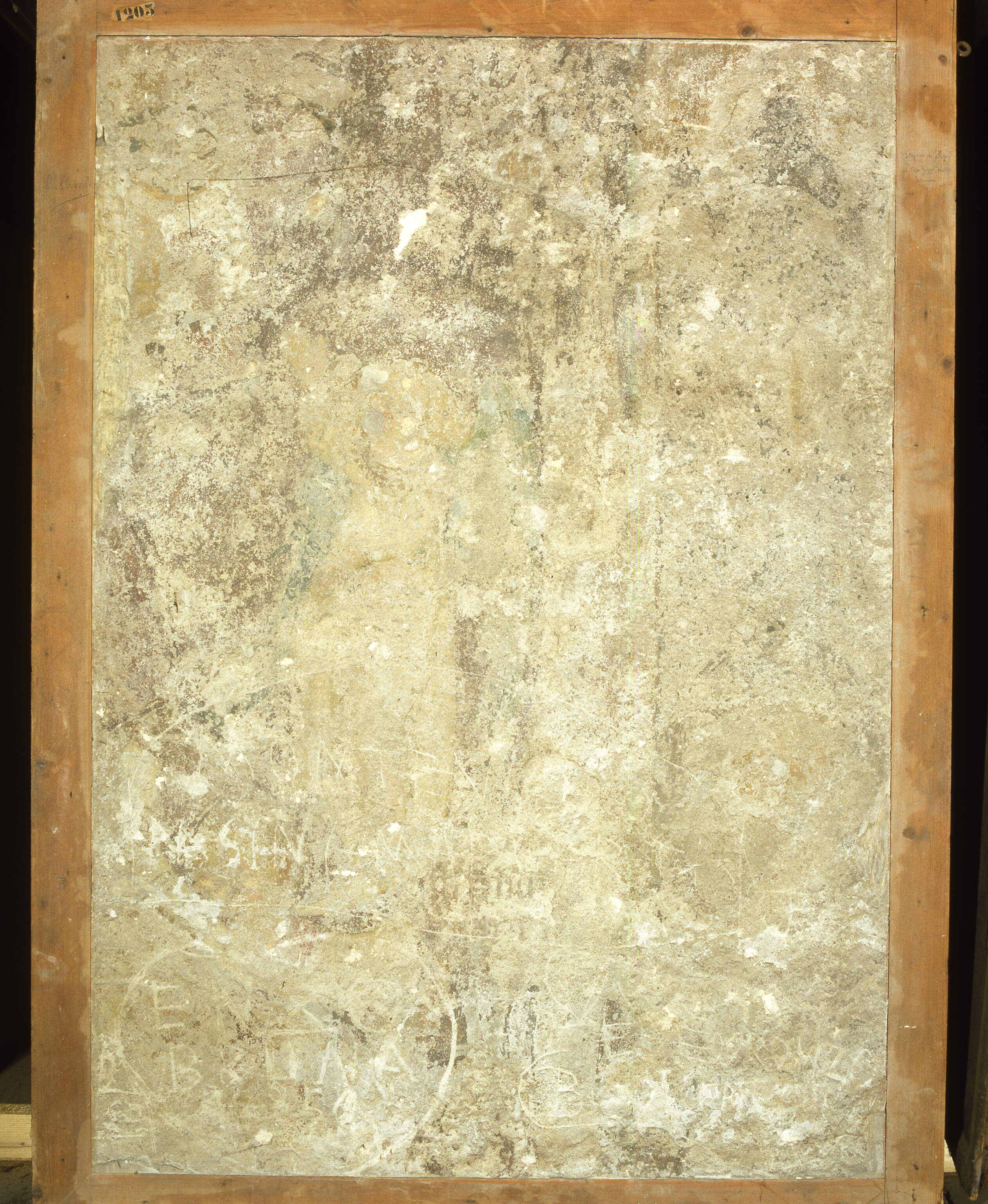 Angelo, angelo (dipinto murale, frammento) di Stefano di Giovanni da Verona (sec. XV)