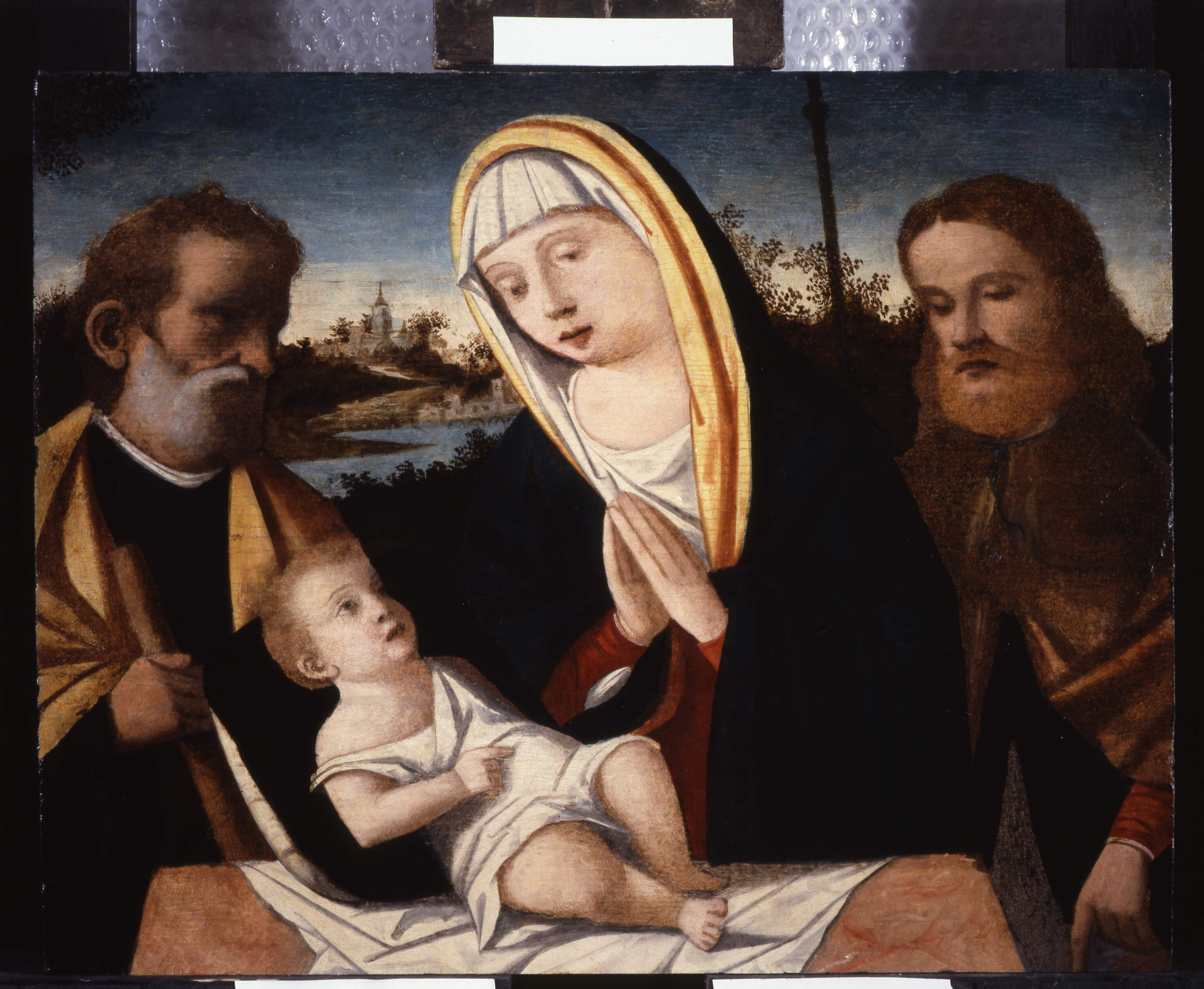 Madonna che adora il bambino tra i santi Giuseppe e Rocco, Madonna che adora il bambino tra i santi Giuseppe e Rocco (dipinto, opera isolata) di Filippo da Verona (bottega) - Ambito veneto (XV secolo) (inizio sec. XVI)