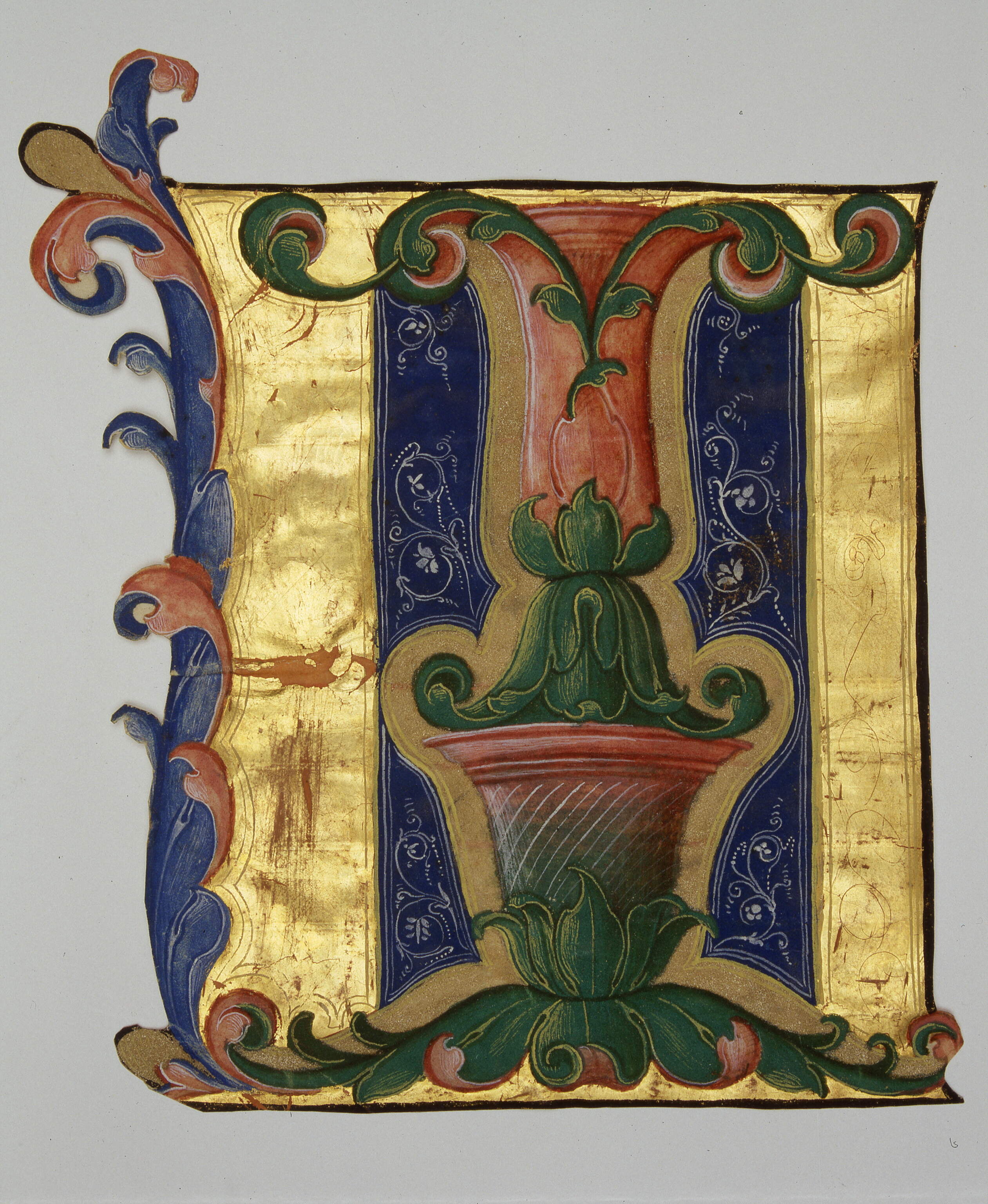 Iniziale "I[ntroduxit vos Dominus]", motivi decorativi vegetali (miniatura, frammento) di Dai Libri Francesco (secc. XV-XV)