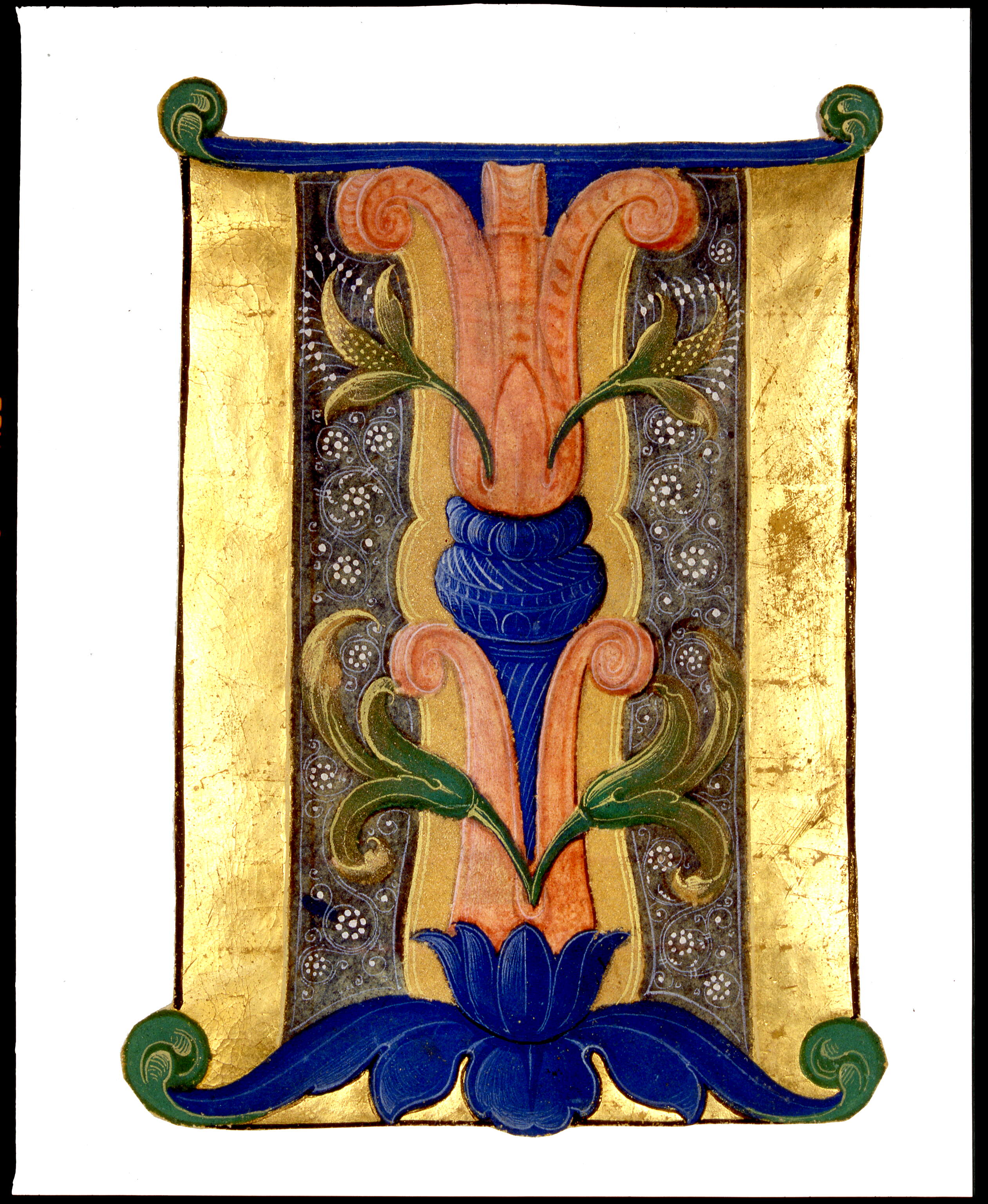 Iniziale "I[udica Domine]", motivi decorativi vegetali (miniatura, frammento) di Dai Libri Francesco (secc. XV-XV)