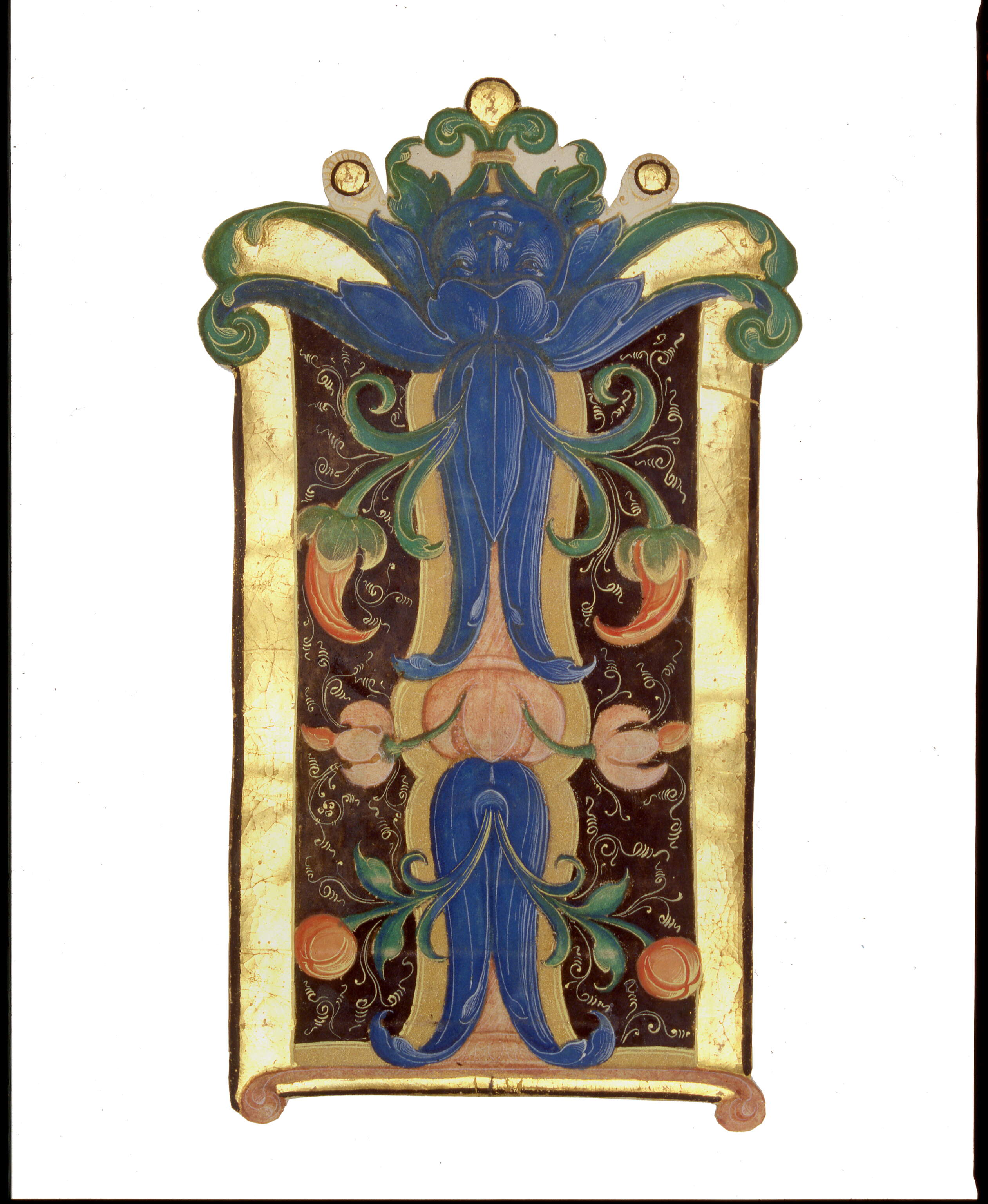 Iniziale sorgente da una base con mascherone: "I[n nomine Jesu]", motivi decorativi vegetali (miniatura, frammento) di Dai Libri Francesco (secc. XV-XV)