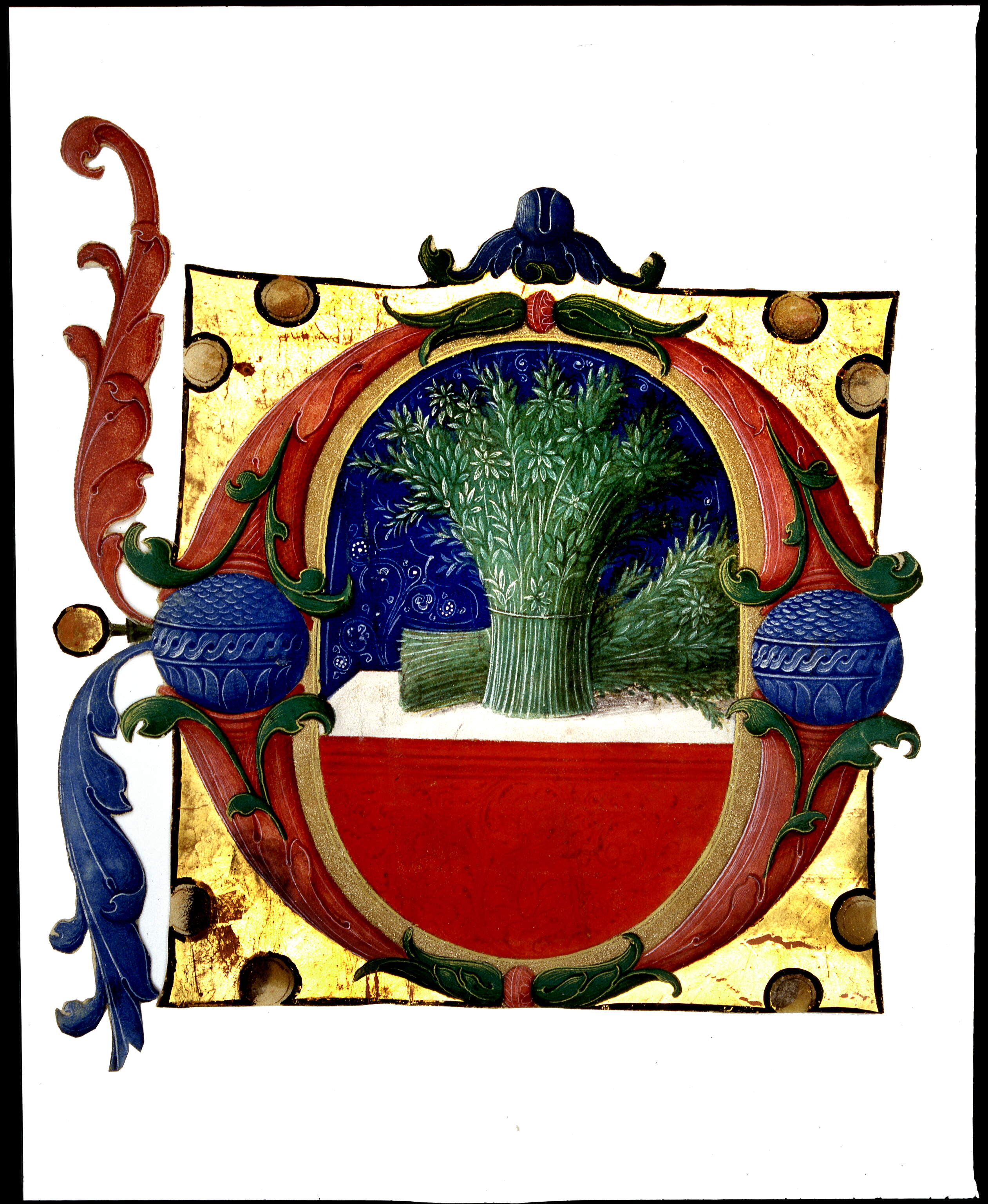 Carta iniziale "O[sanna filio David]", fasci di rami d'olivo sopra un altare (miniatura, frammento) di Dai Libri Francesco (secc. XV-XV)