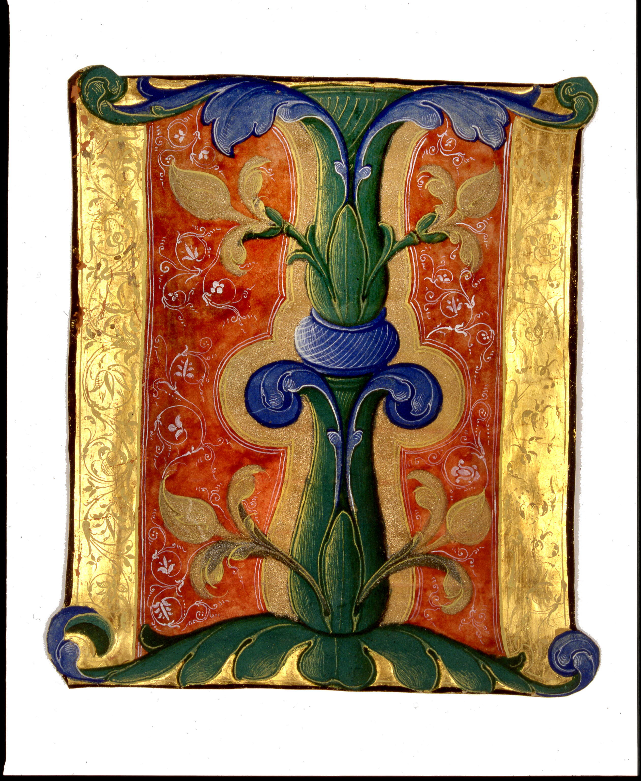 Iniziale decorata con motivi fitomorfi, "I[ubilate Deo]", motivi decorativi vegetali (miniatura, frammento) di Dai Libri Francesco (secc. XV-XV)