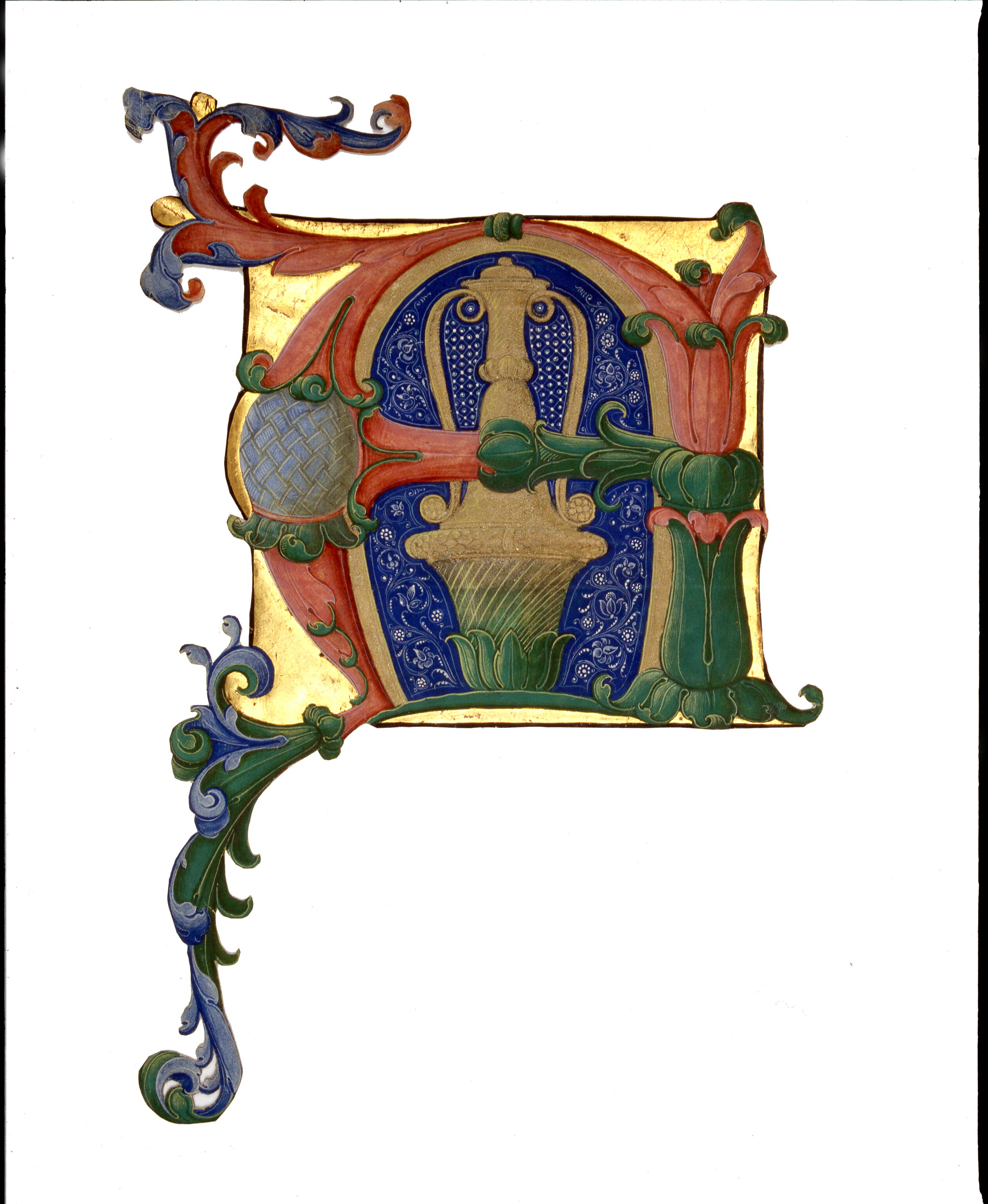 Iniziale "A[qua sapientiae potavit eos, alleluja]", motivi decorativi vegetali (miniatura, frammento) di Dai Libri Francesco (secc. XV-XV)