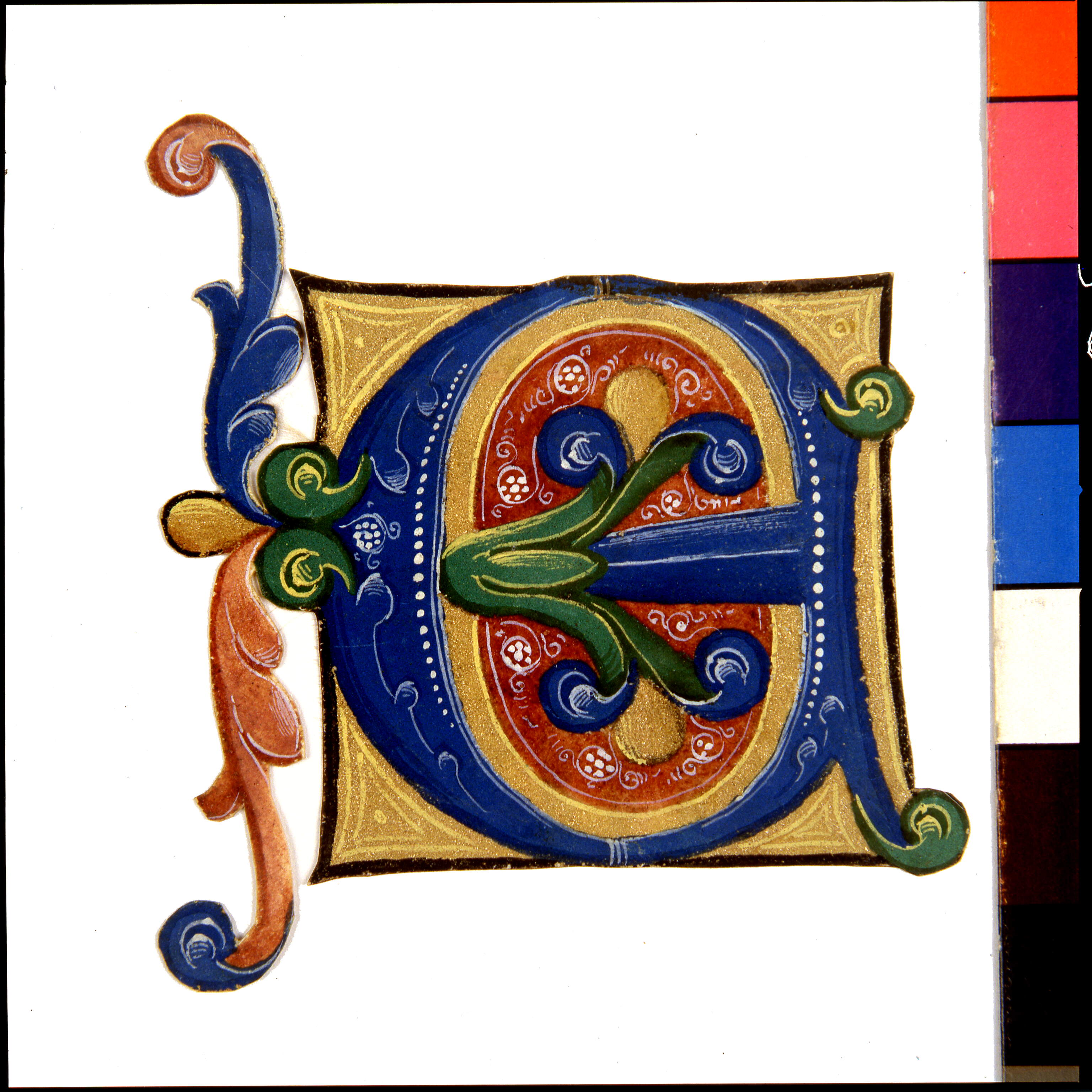 Iniziale azzurra su campo centrale rosso scuro "E[xivi a patrem]" (?), motivi decorativi vegetali (miniatura, frammento) di Dai Libri Francesco (bottega), Dai Libri Girolamo (bottega) (secc. XV-XV)