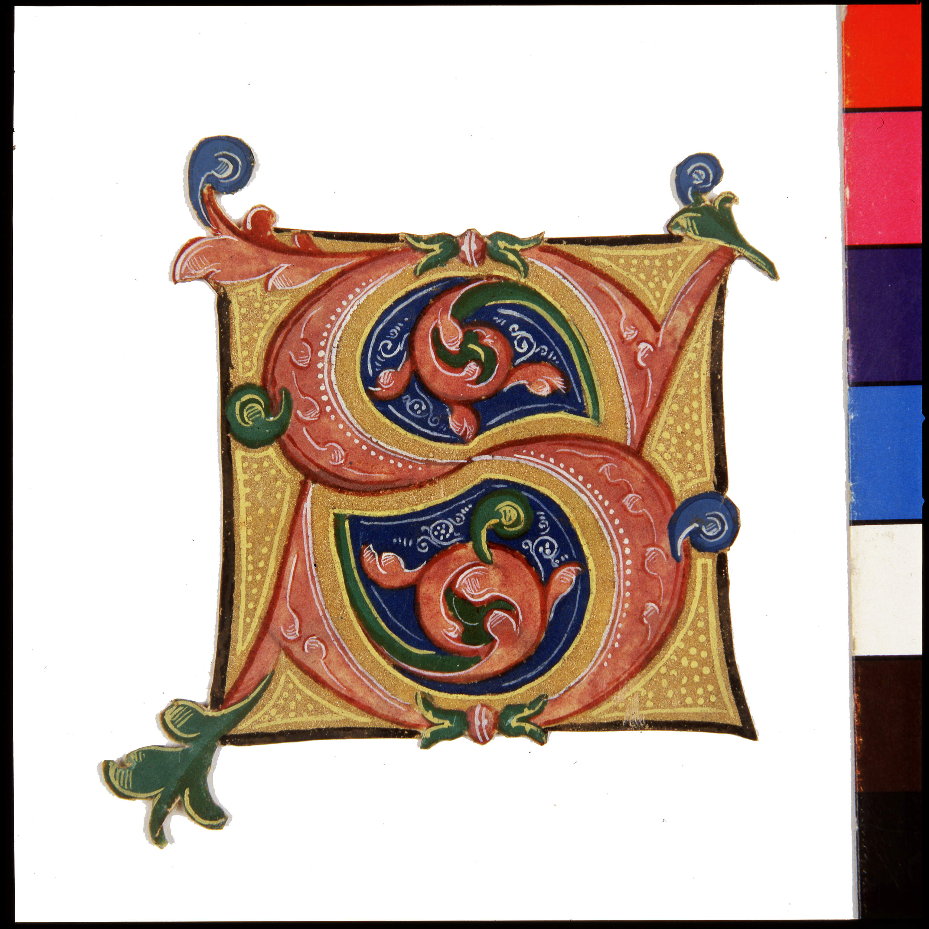 Iniziale rosa su campo centrale azzurro "S[urrexit Dominus]", motivi decorativi vegetali (miniatura, frammento) di Dai Libri Francesco (bottega), Dai Libri Girolamo (bottega) (secc. XV-XV)