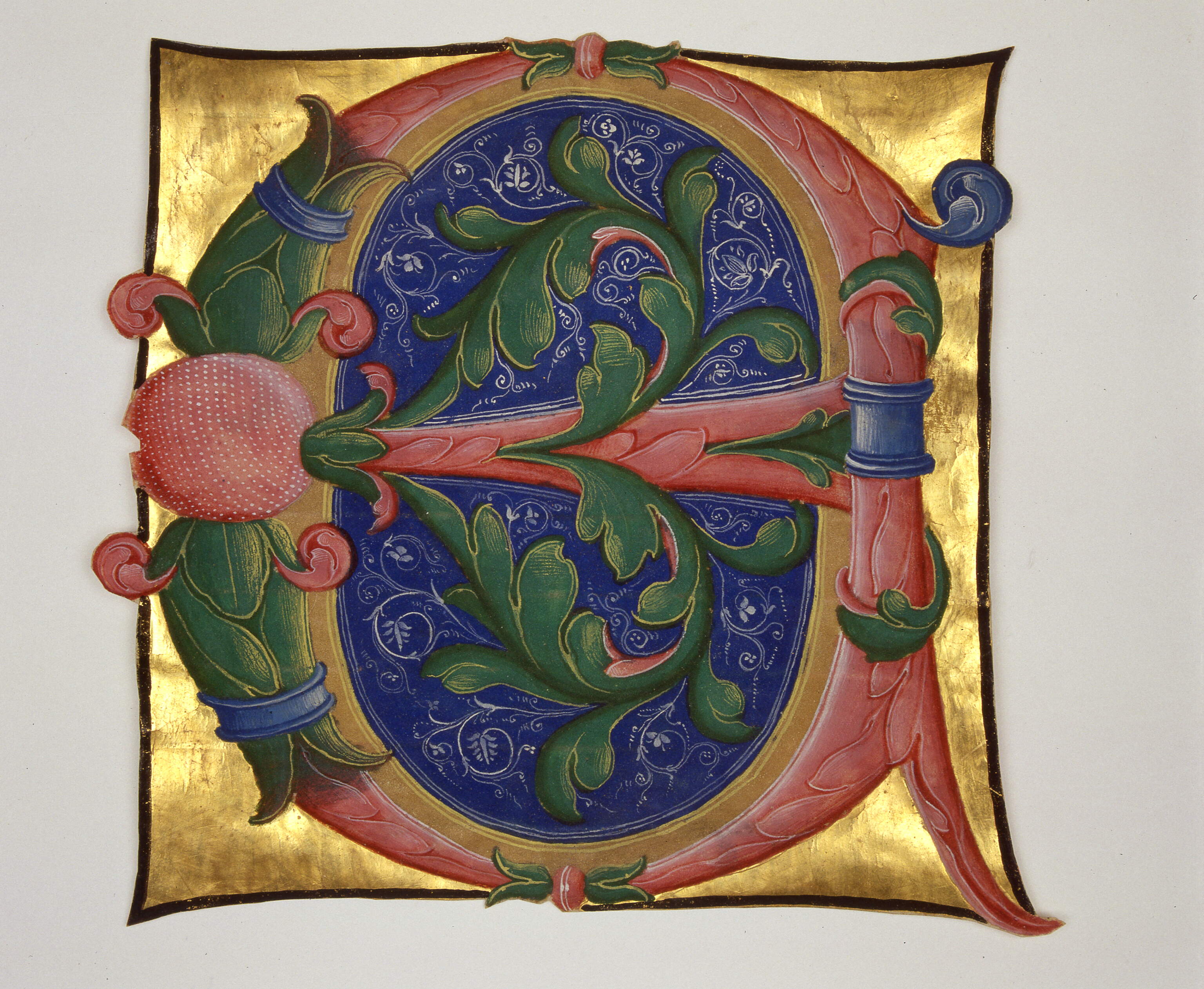 Iniziale ornata con motivi fitomorfi, "E[xaudivit de templo sancto suo]", motivi decorativi vegetali (miniatura, frammento) di Dai Libri Francesco (secc. XV-XV)