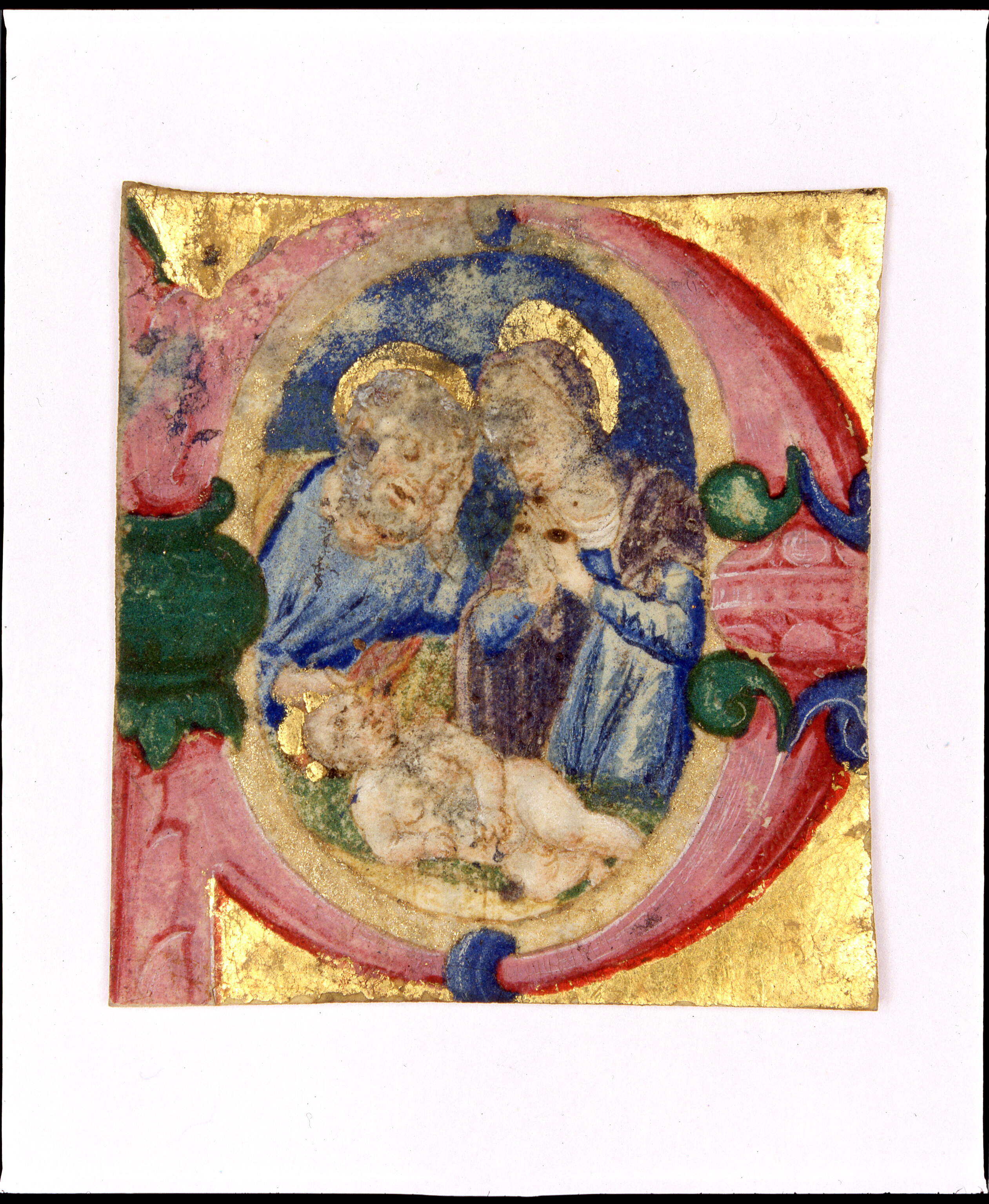 Natività, natività di Gesù (miniatura, frammento) di Dai Libri Girolamo (secc. XV-XV)