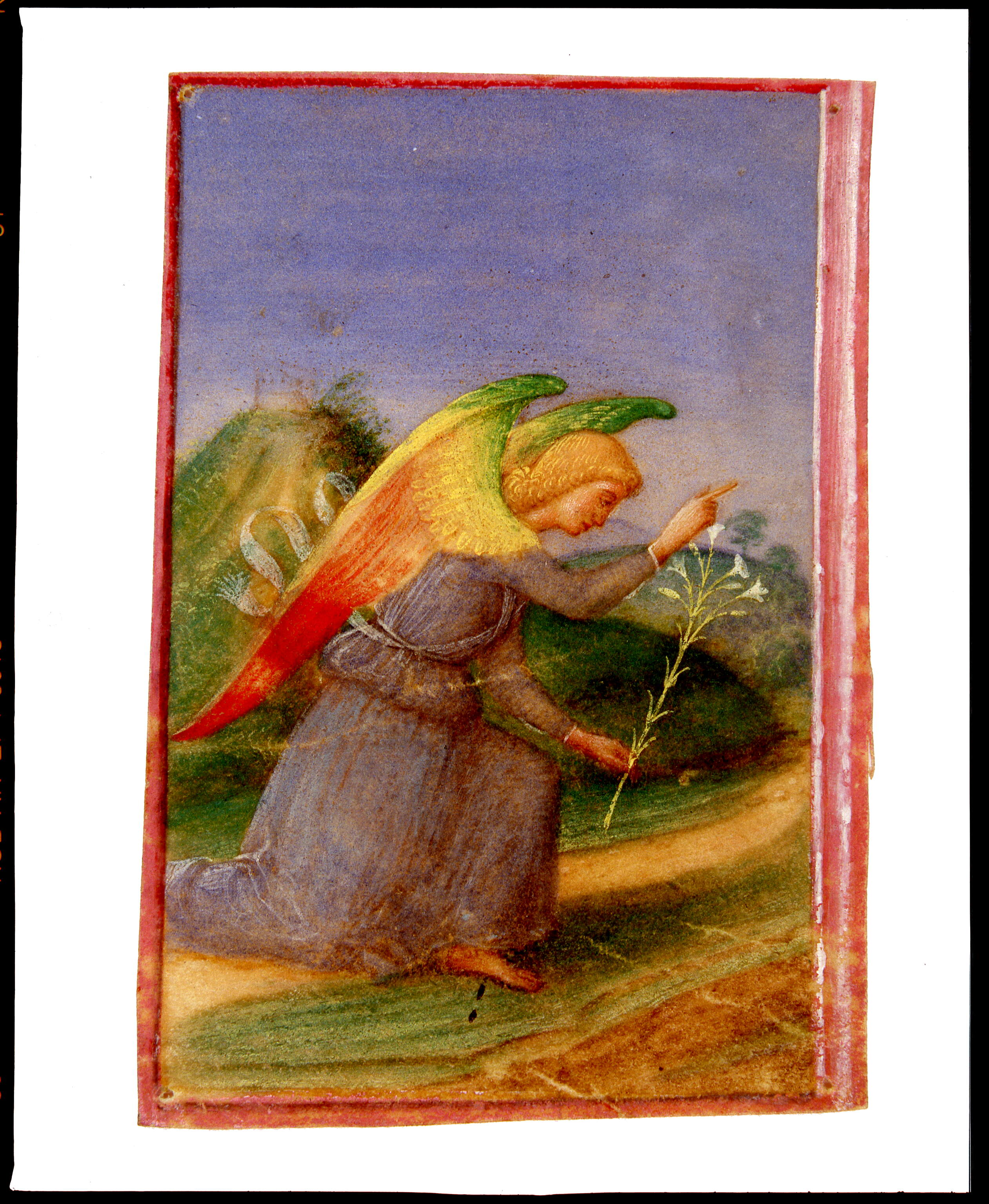 Angelo annunciante, angelo annunciante (miniatura, frammento) di Dai Libri Girolamo (secc. XVI-XVI)