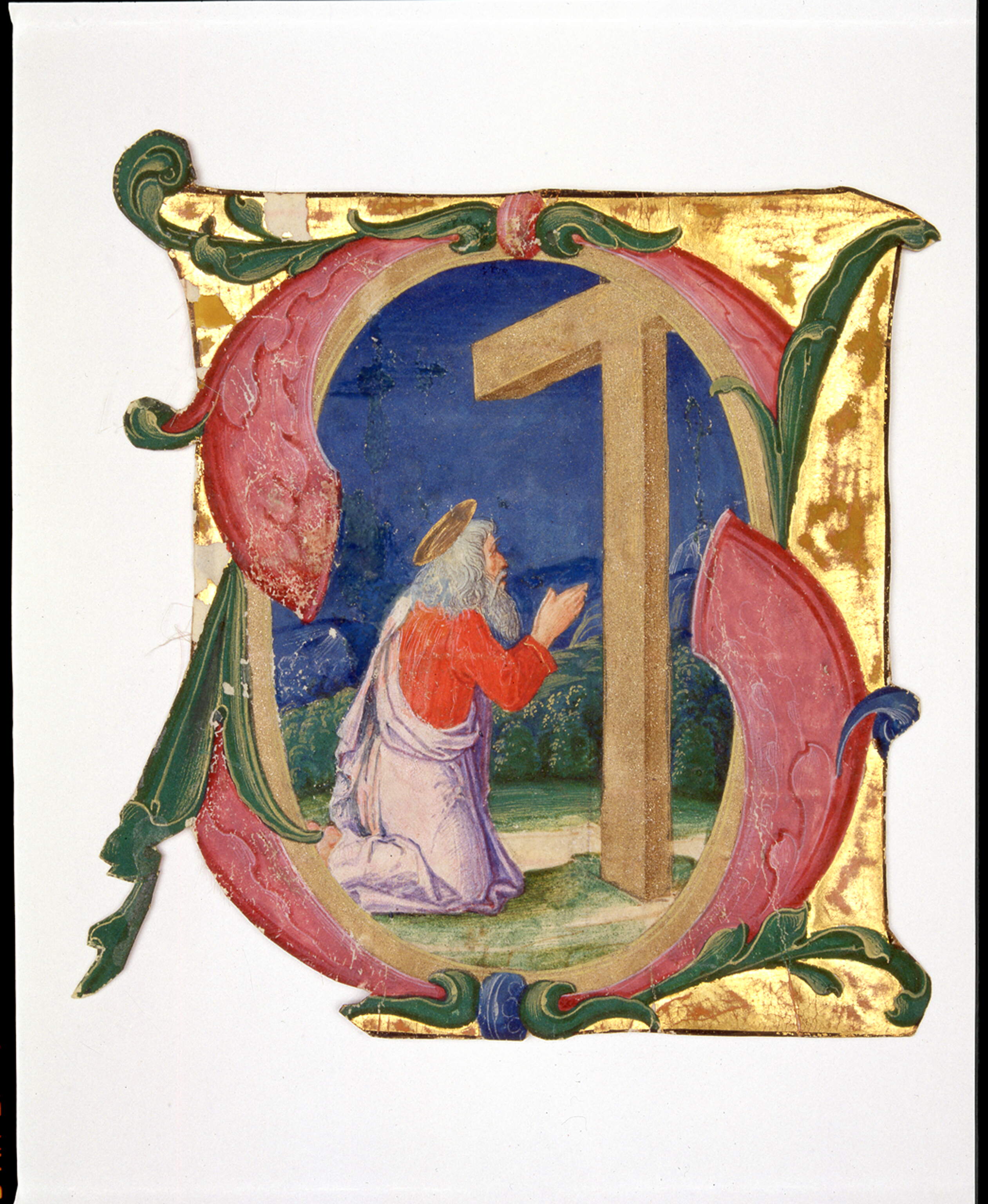 Iniziale "S[alve crux pretiosa]" (?), Sant'Andrea in adorazione della croce (miniatura, frammento) di Dai Libri Francesco (e aiuti) (fine/ inizio secc. XV-XVI)