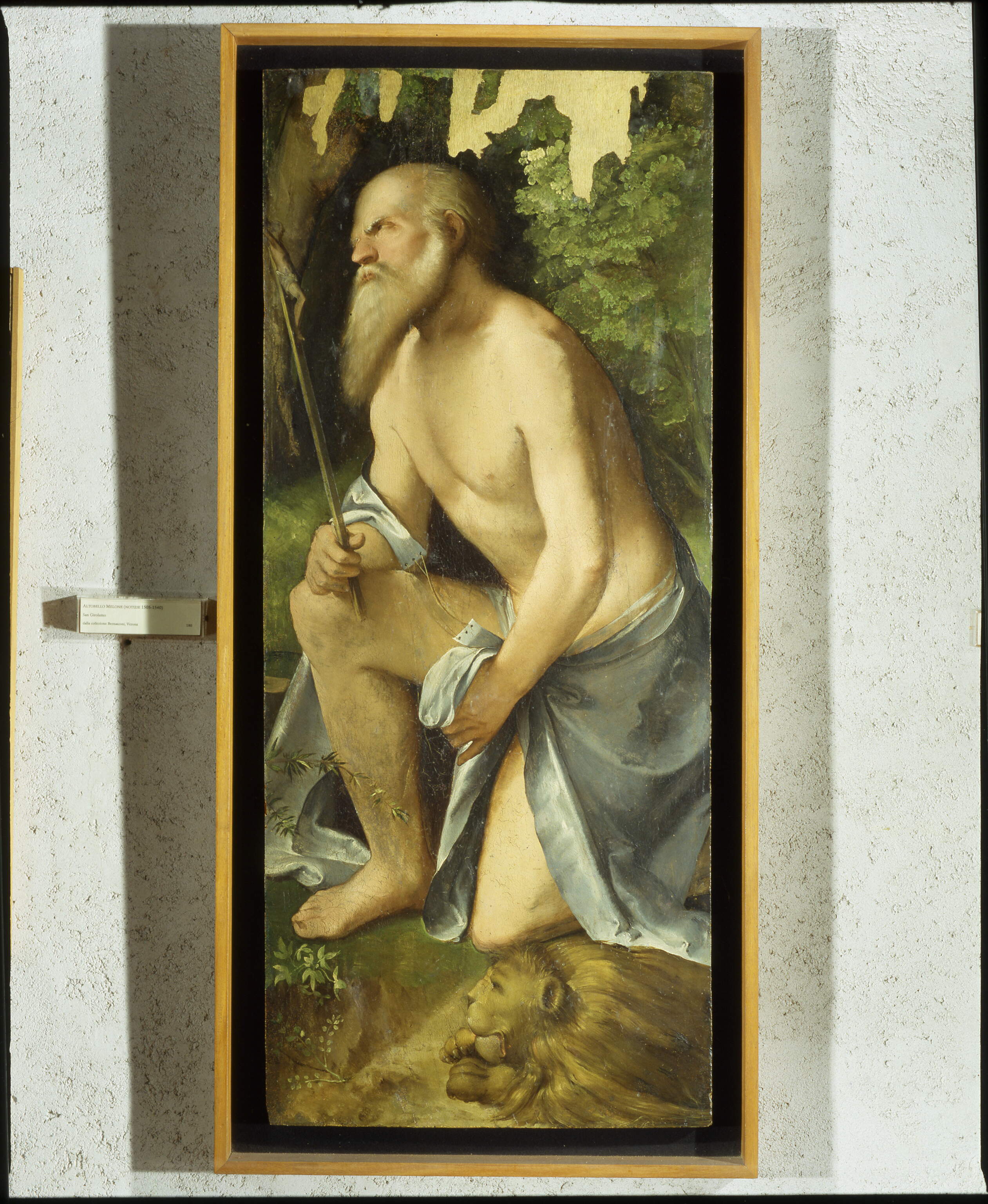 San Girolamo, San Girolamo (dipinto, frammento) di Melone Altobello (sec. XVI)