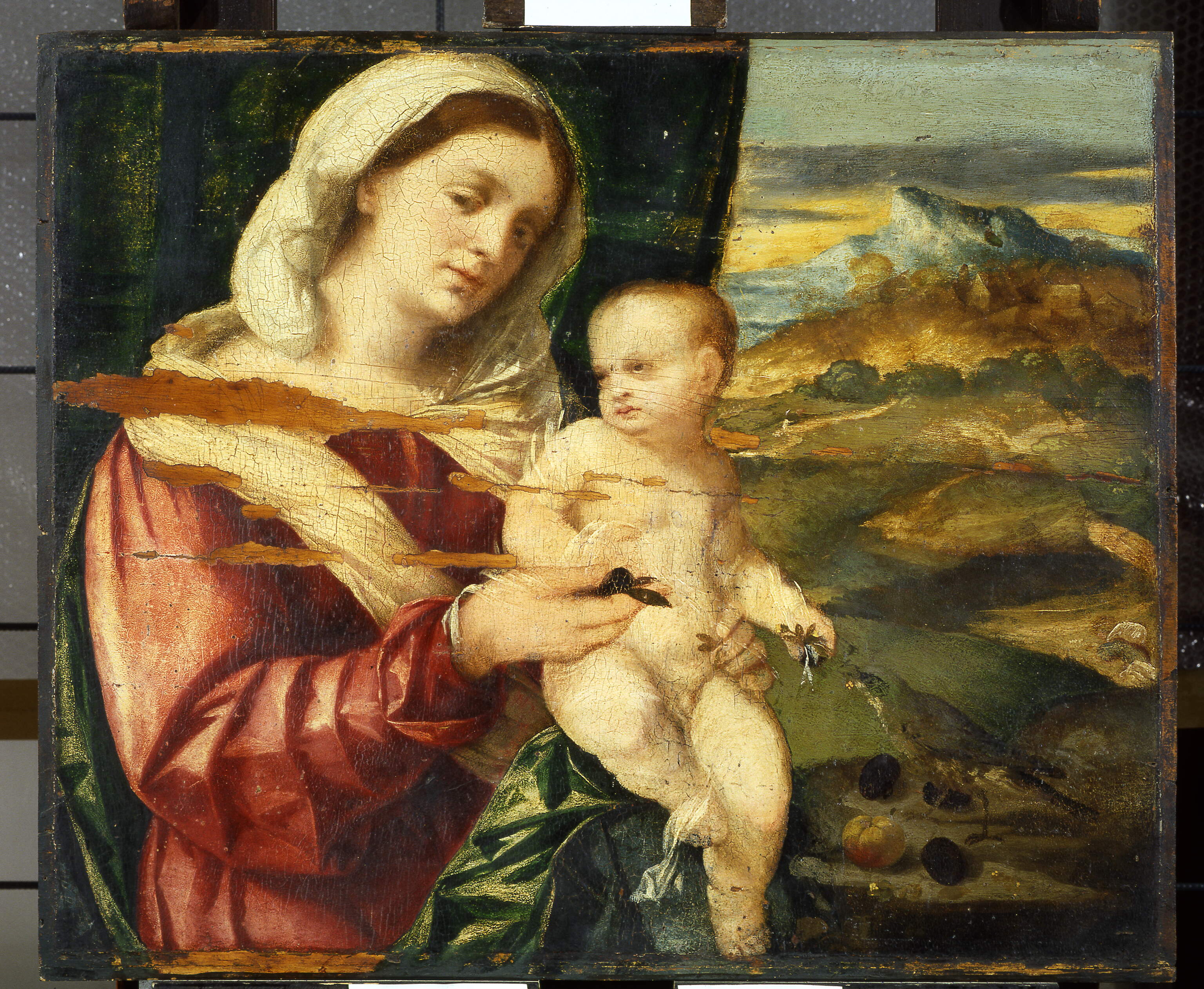 Madonna del fringuello alpino, Madonna con Bambino (dipinto, opera isolata) di Negretti Jacopo detto Palma il Vecchio (sec. XVI)