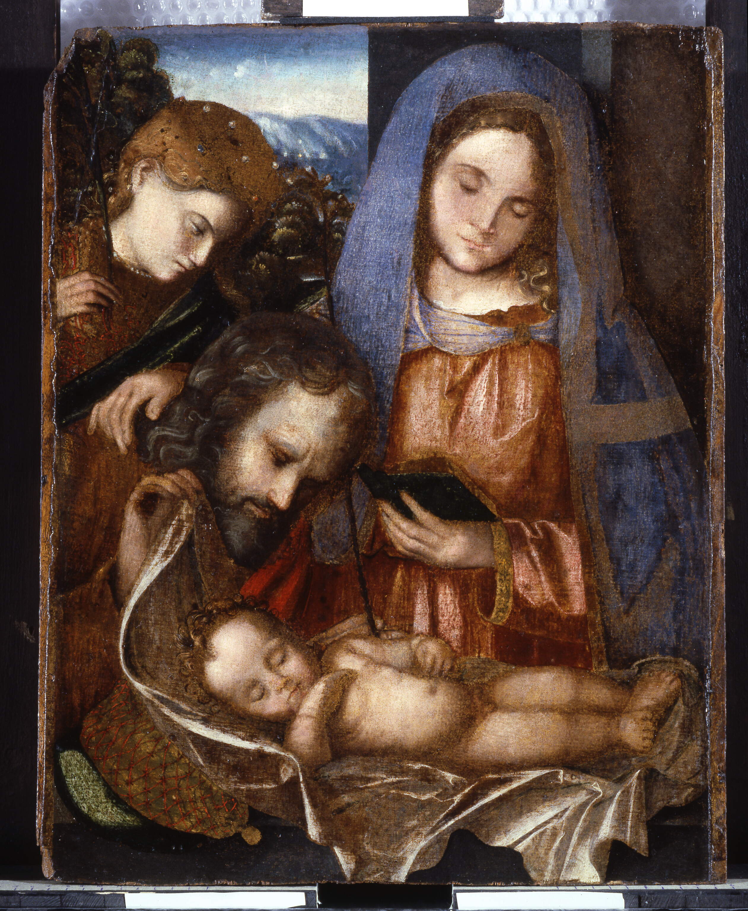 Sacra conversazione, Sacra Conversazione (dipinto, opera isolata) - ambito veronese (prima metà sec. XVI)