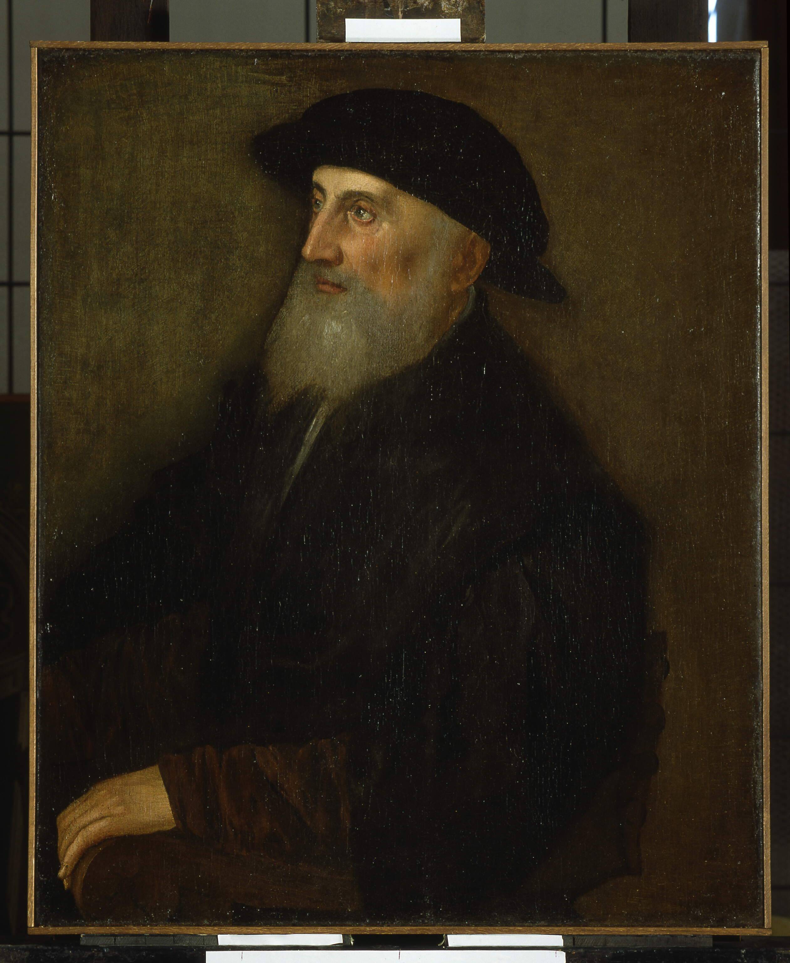 Ritratto virile, ritratto d'uomo (dipinto, opera isolata) - ambito veneto (prima metà sec. XVI)