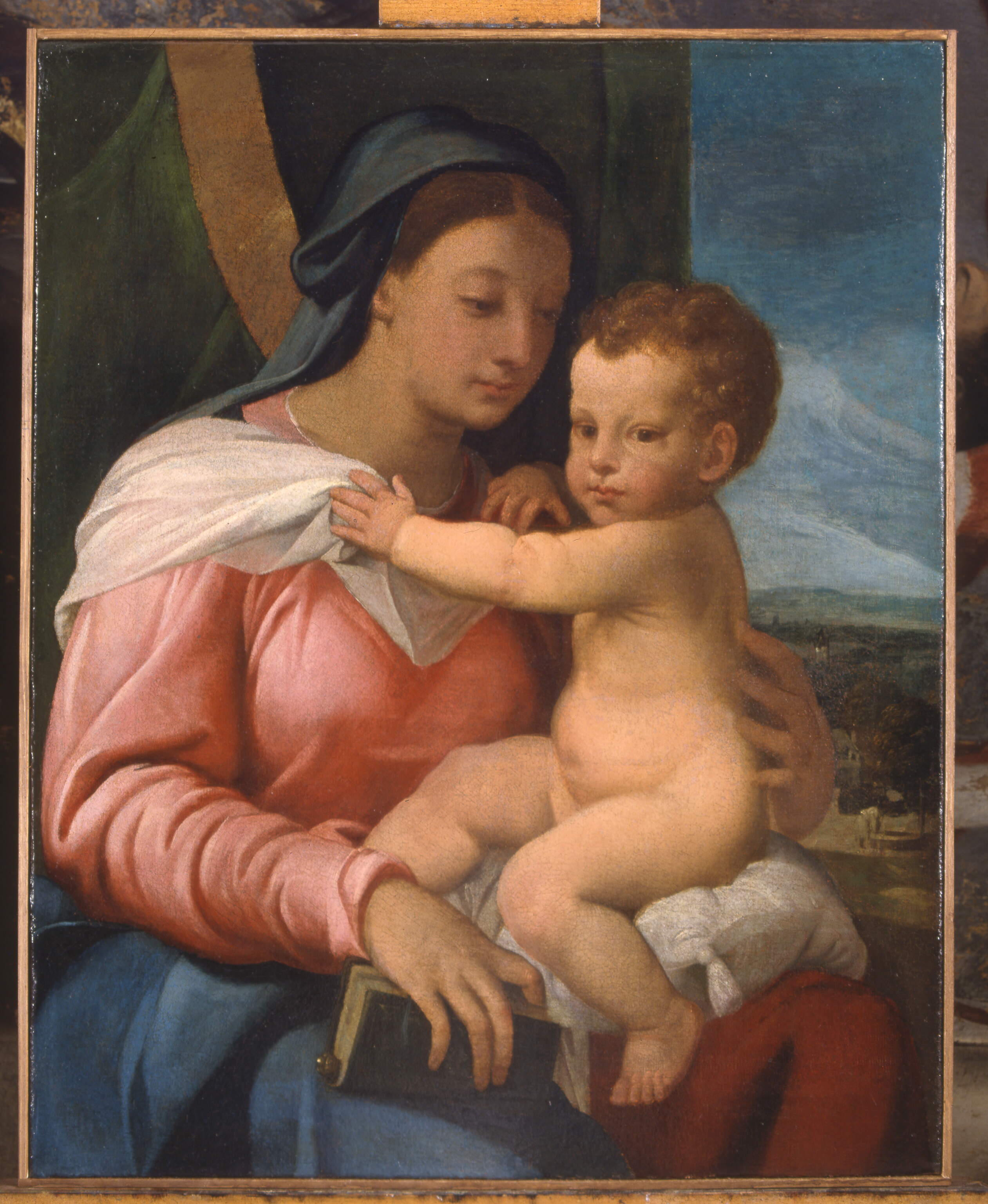 Madonna con il bambino, Madonna con il bambino (dipinto, opera isolata) di Torbido Francesco detto Moro (sec. XVI)