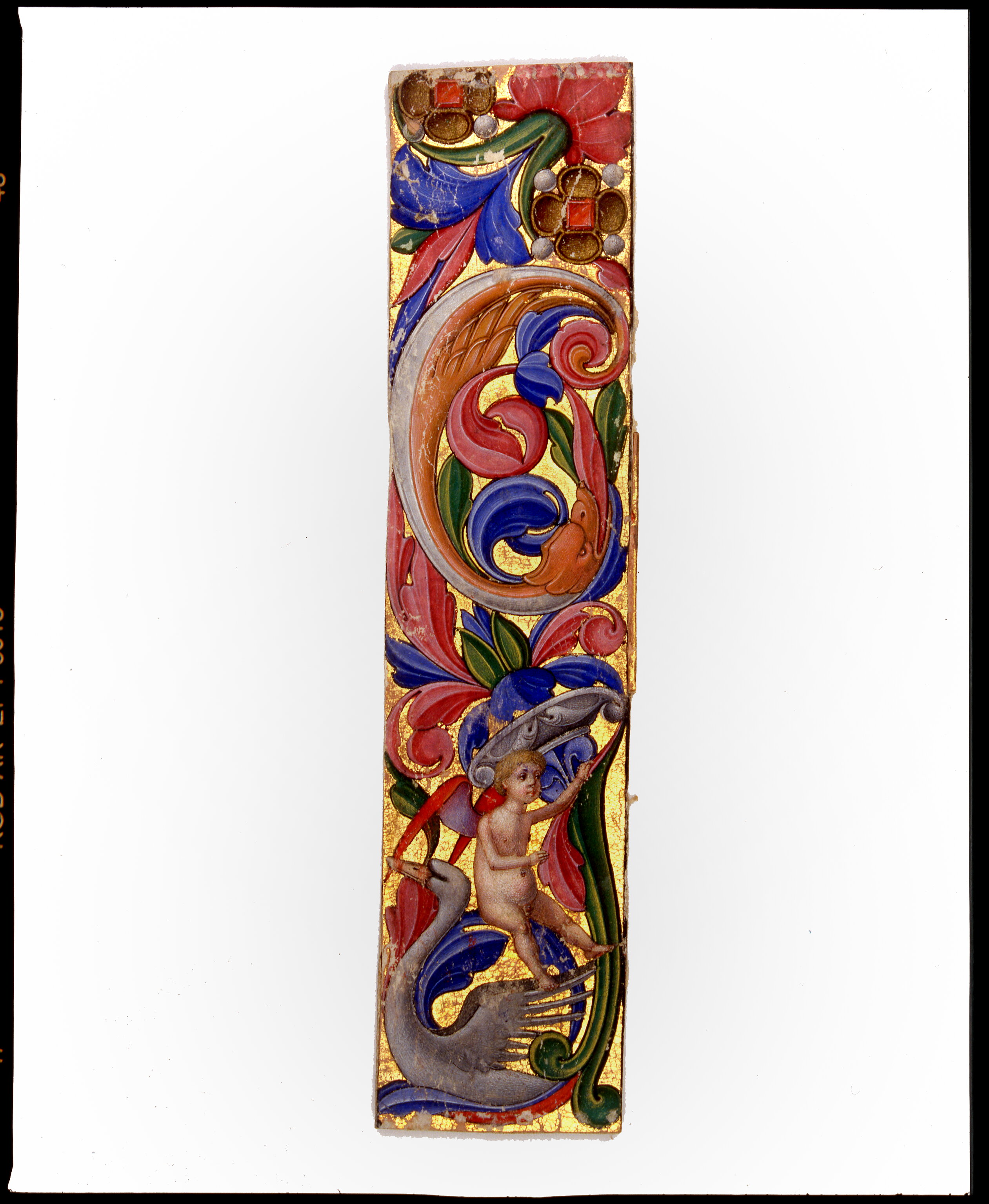 Fregio con "Drago e putto alato sopra un cigno", drago, putto e cigno (miniatura, frammento) di Antonio Maria da Villafora (secc. XVI-XVI)