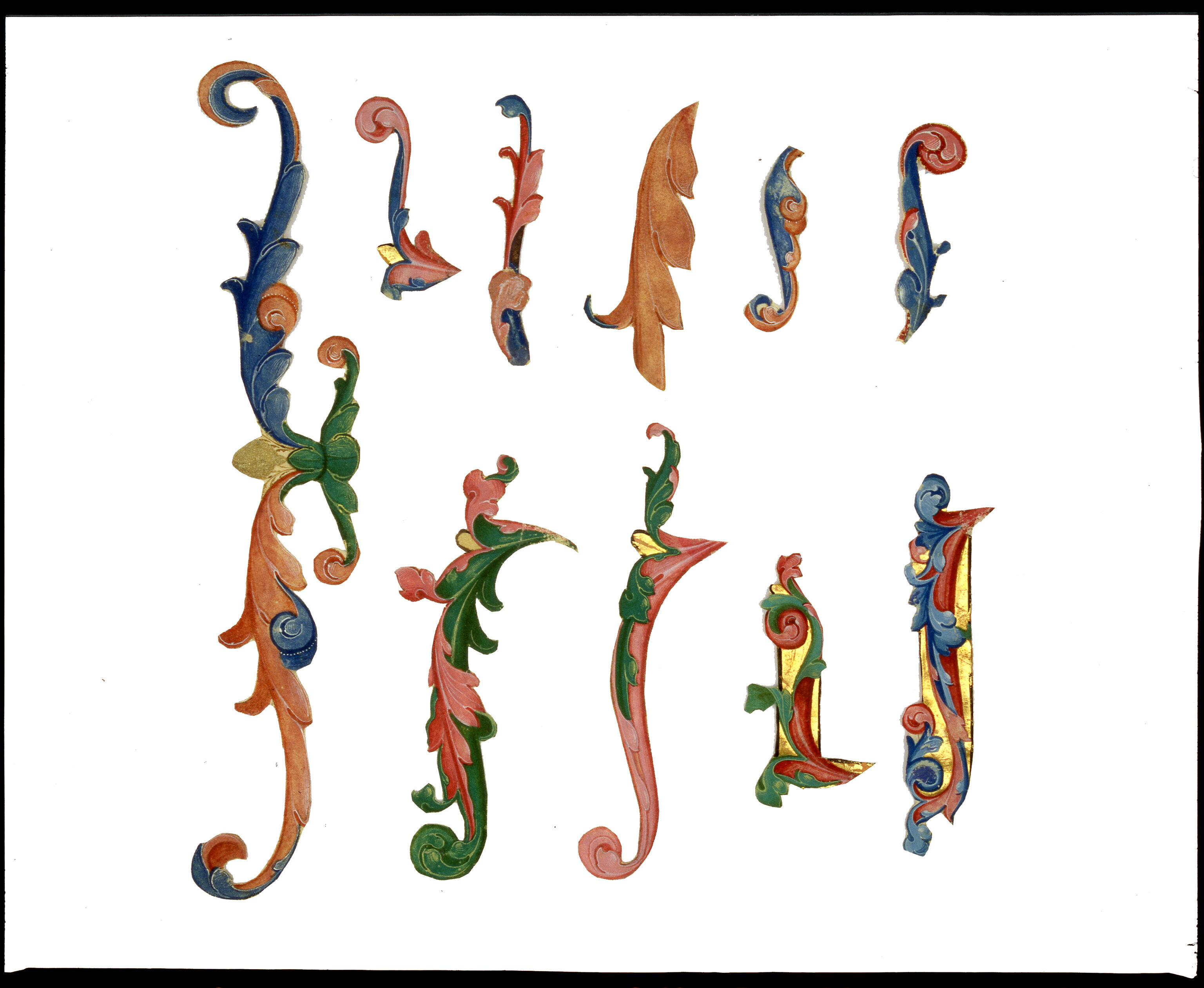 Parte di fregio asimmetrico di iniziale miniata con piccolo inserto in lamina d'oro, motivo decorativo vegetale (miniatura, frammento) di Dai Libri Girolamo (bottega) (sec. XV)