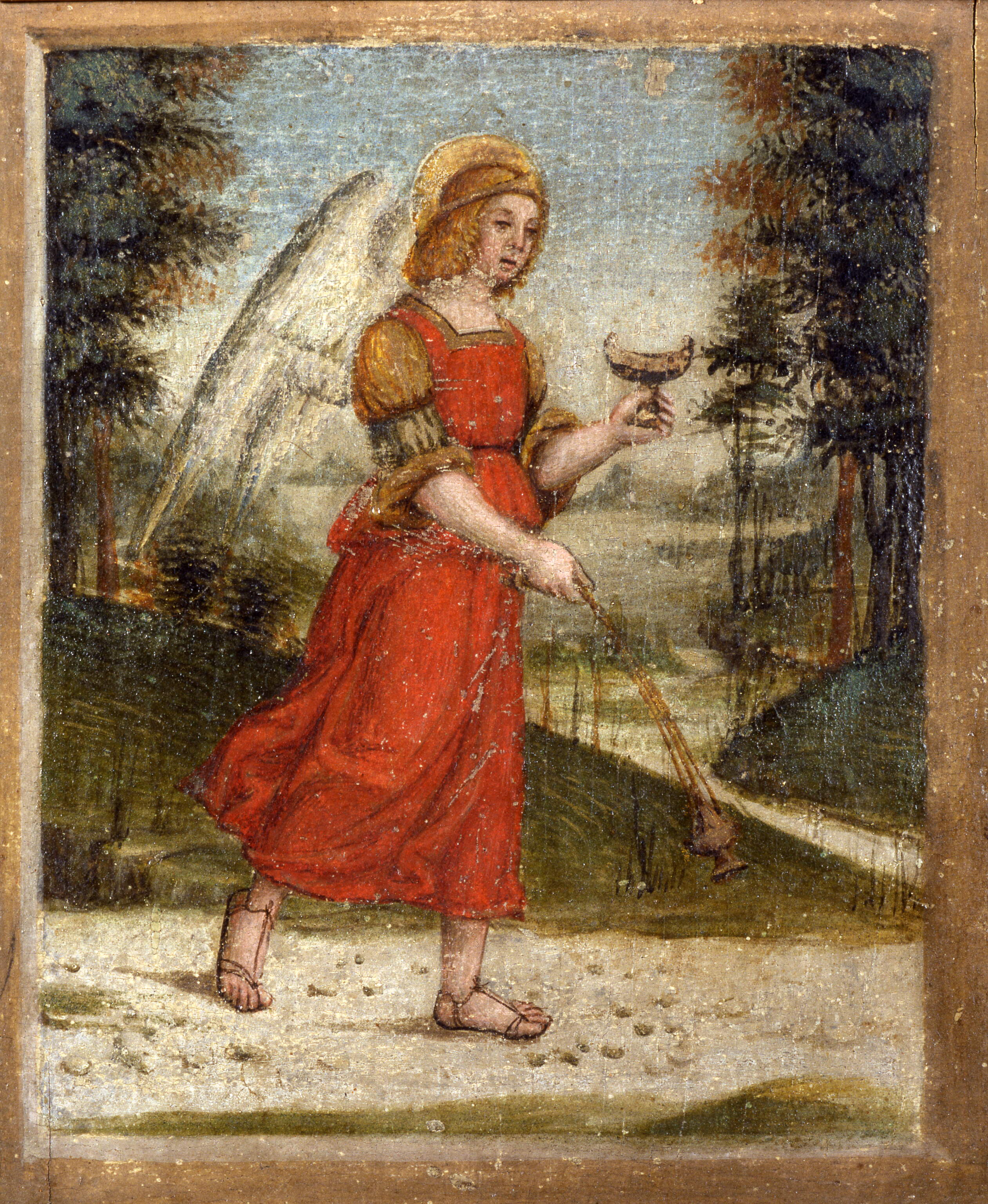 Angelo turiferario, Angelo turiferario (dipinto, frammento) di Dai Libri Girolamo (cerchia) (secc. XVI-XVI)