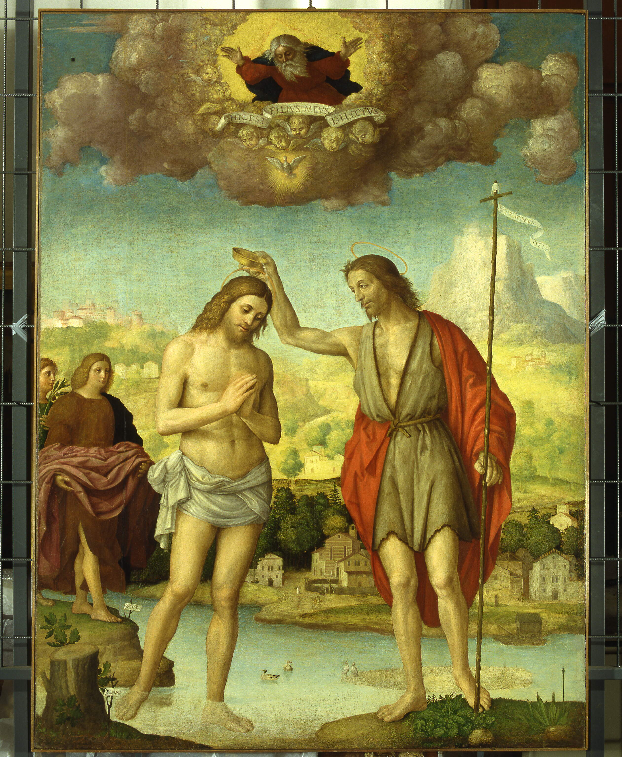 Battesimo degli Ibis, battesimo di Cristo (dipinto, opera isolata) di Dai Libri Girolamo (secc. XVI-XVI)