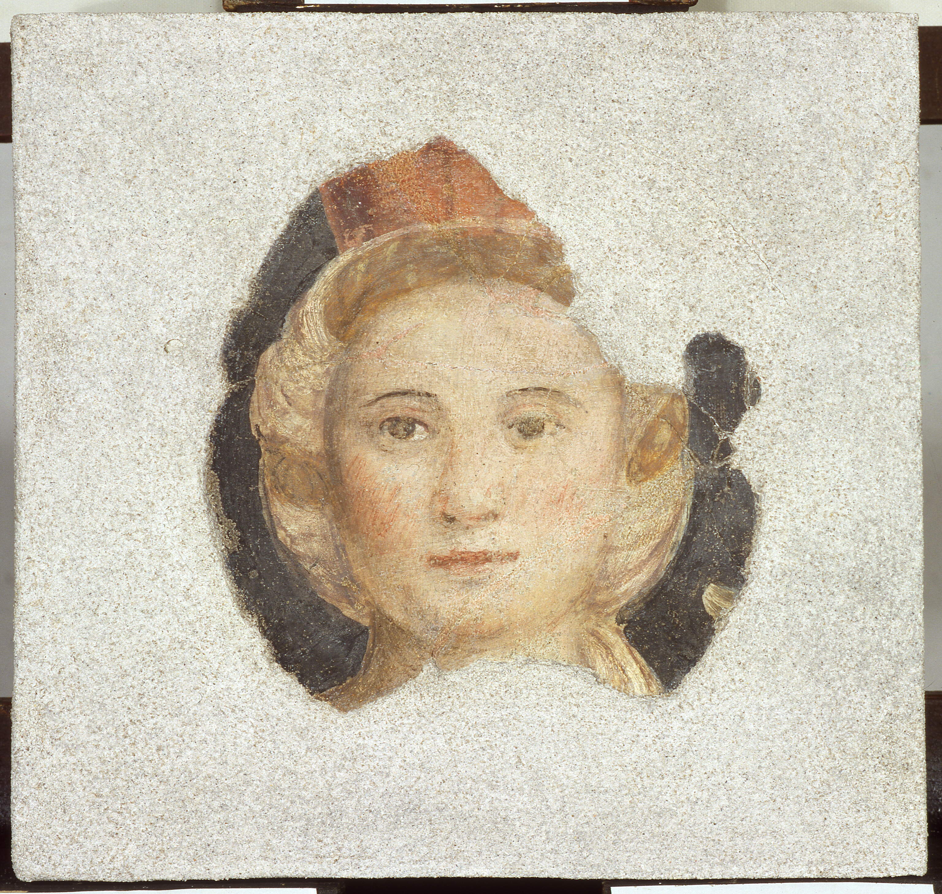 Testa di donna, testa di donna (dipinto murale, frammento) di Morone Francesco (cerchia) (prima metà sec. XVI)