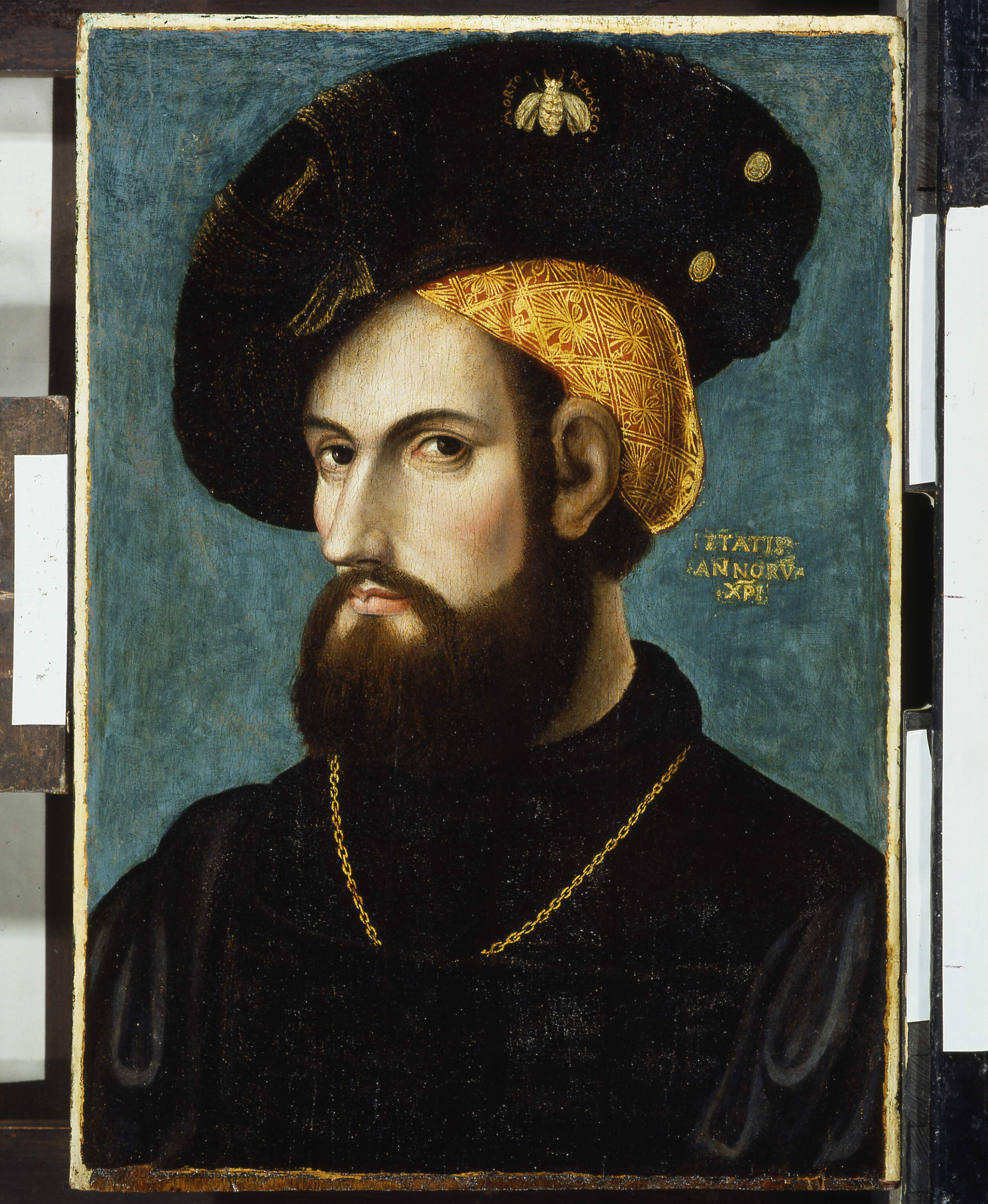 Ritratto virile, ritratto d'uomo (dipinto, opera isolata) - ambito tedesco (prima metà sec. XVI)