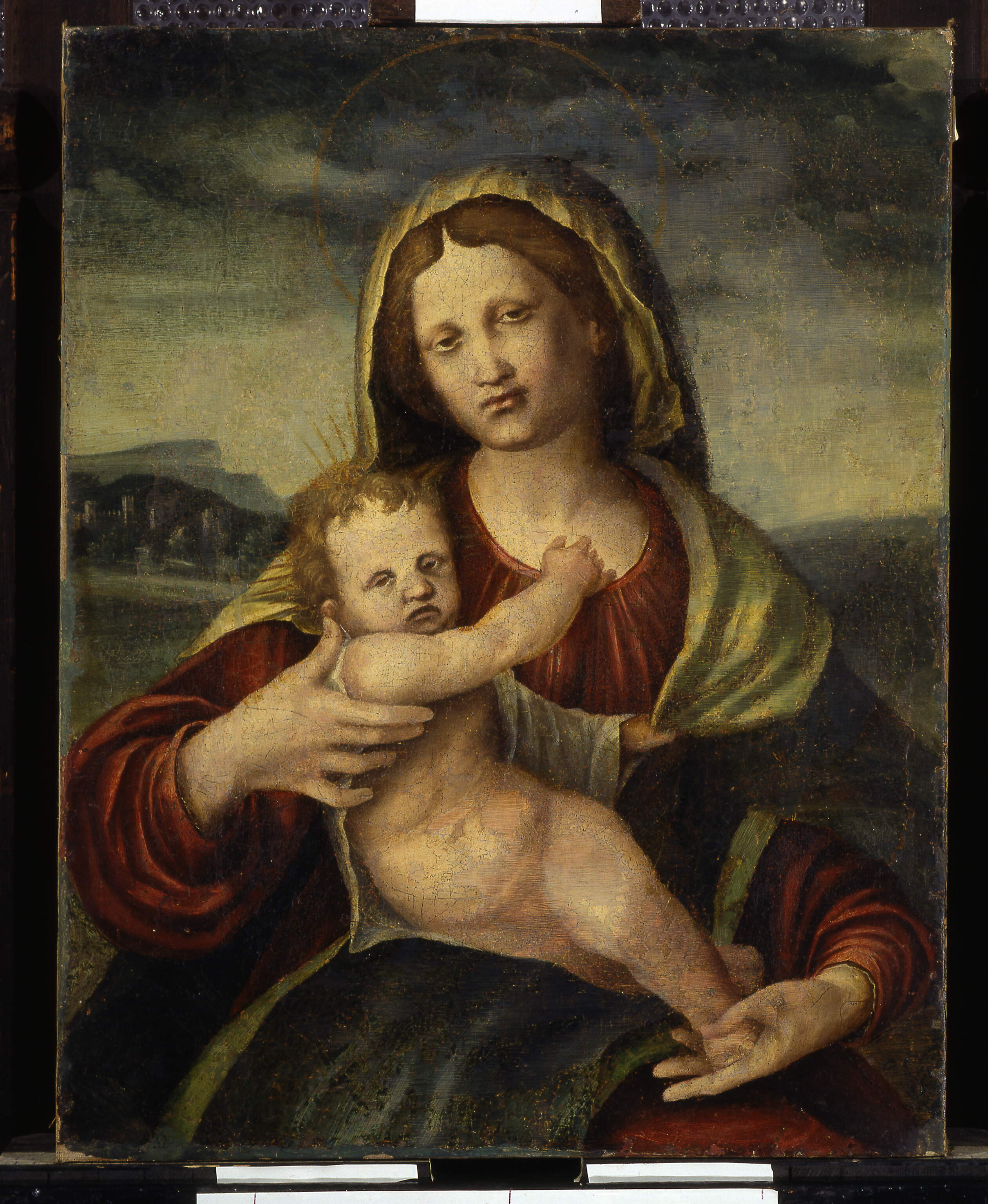 Madonna con il bambino, Madonna con Bambino (dipinto, opera isolata) di Giolfino Nicola (secondo quarto sec. XVI)