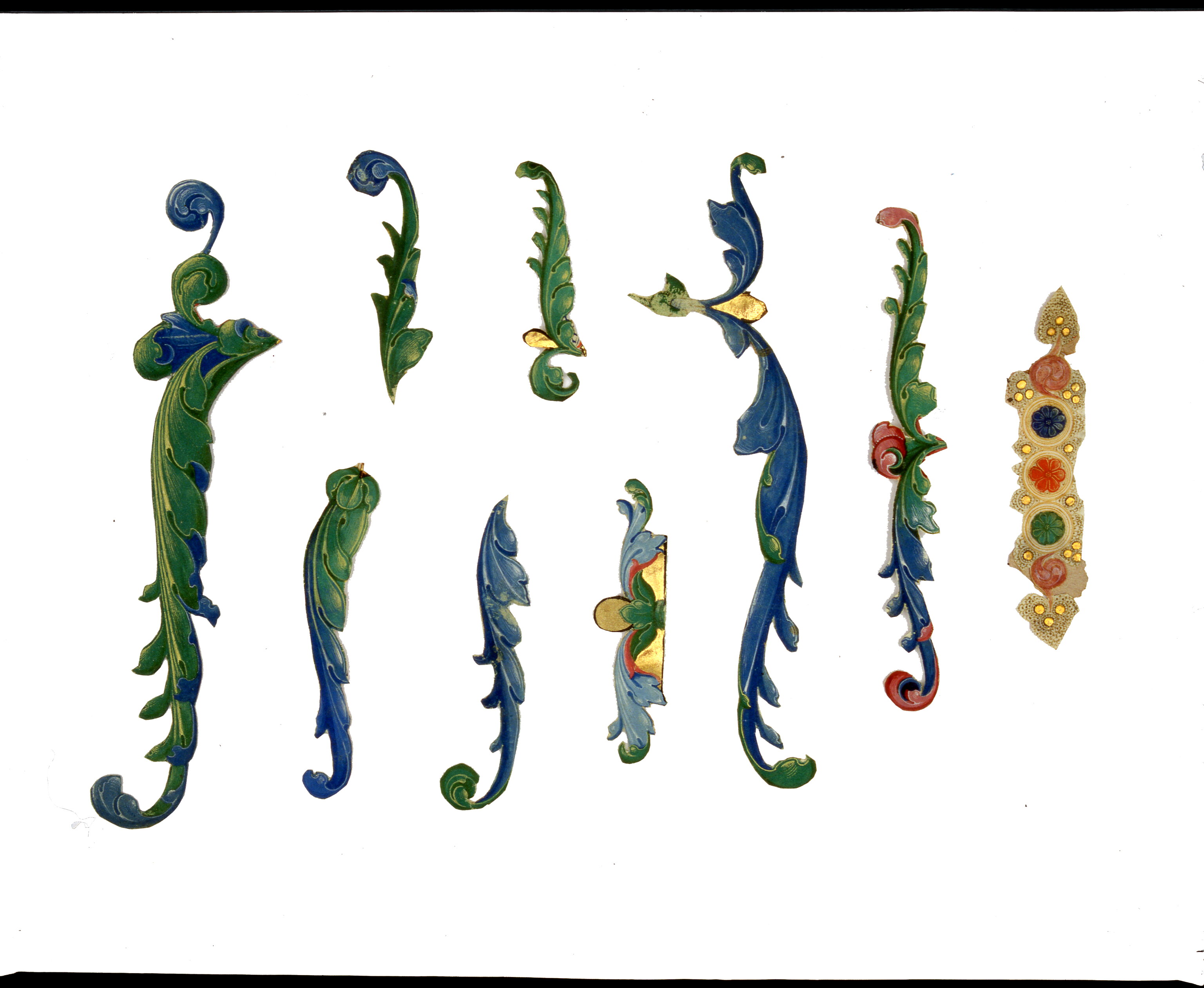 Parte di fregio asimmetrico di iniziale miniata, motivo decorativo vegetale (miniatura, frammento) di Dai Libri Girolamo (bottega) (sec. XV)