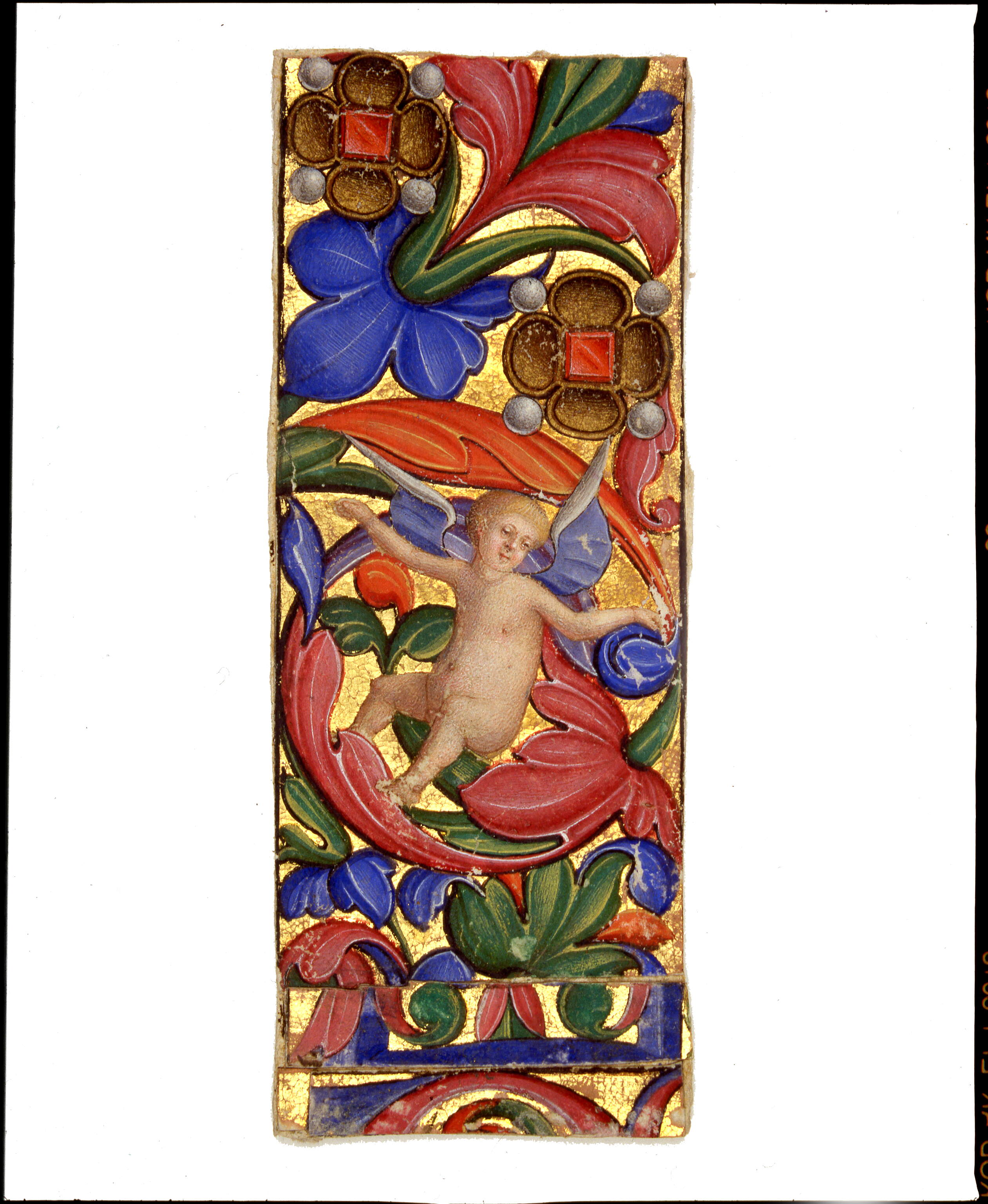 "Putto alato" nelle volute di un fregio fitomorfo con due grandi gioielli a forma di fiore, motivi decorativi e putto (miniatura, frammento) di Antonio Maria da Villafora (secc. XVI-XVI)