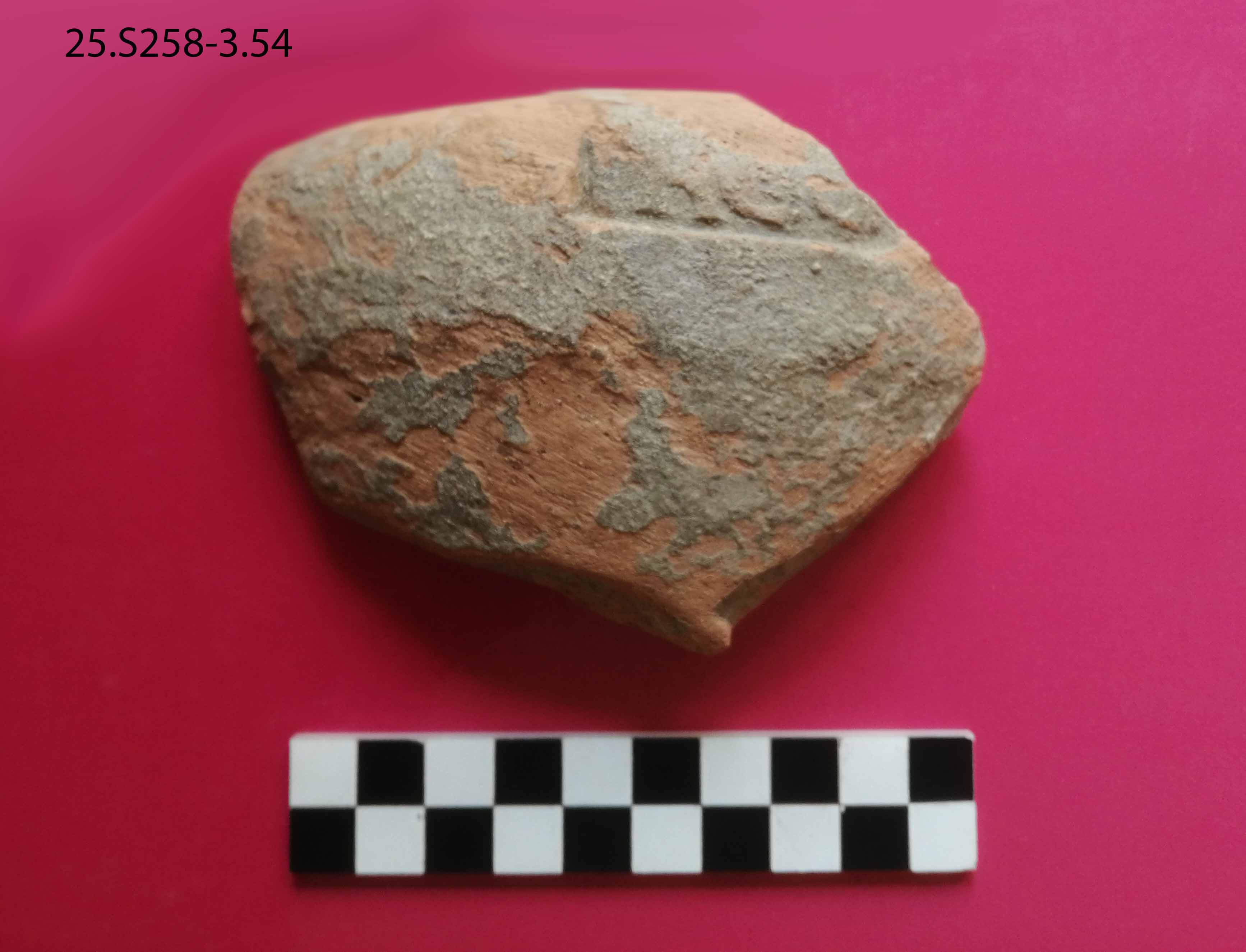 SINGOLO OGGETTO/ anfora, PERIODIZZAZIONI/ STORIA/ Età antica/ Età romana/ Età romana imperiale/ Età altoimperiale