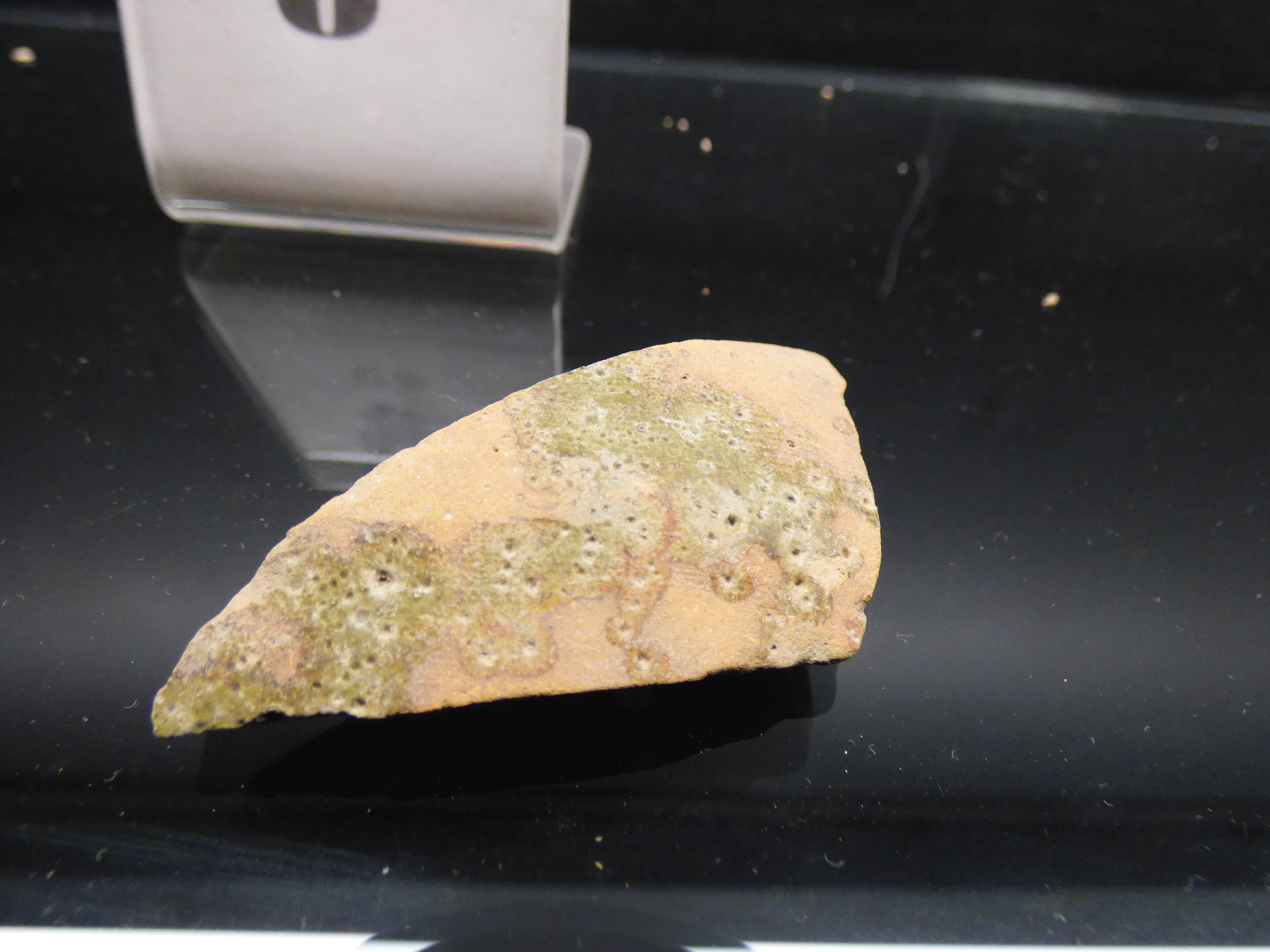 contenitore - bottega umbra (sec. XIII)