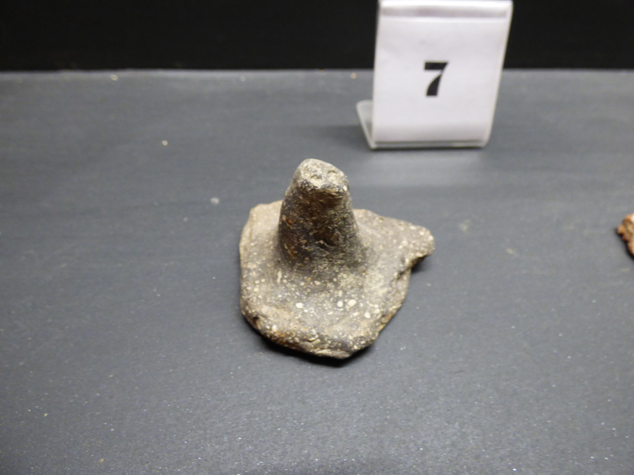 coperchio - bottega umbra (sec. XII)