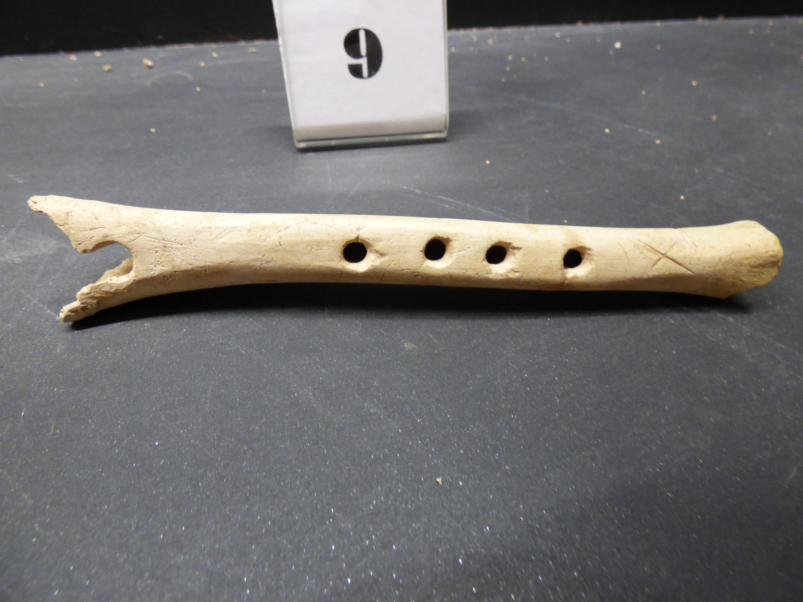 flauto - bottega umbra (secc. XII-XIII)