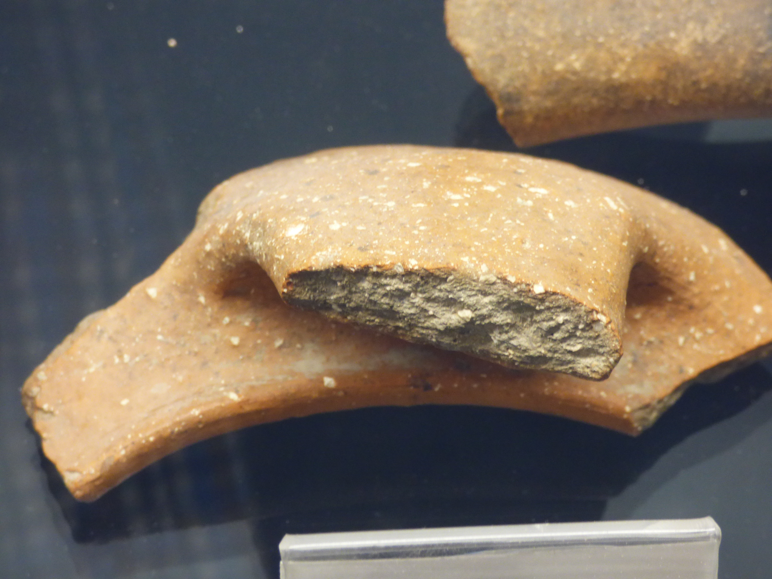 paiolo - bottega umbra (secc. XIV-XV)