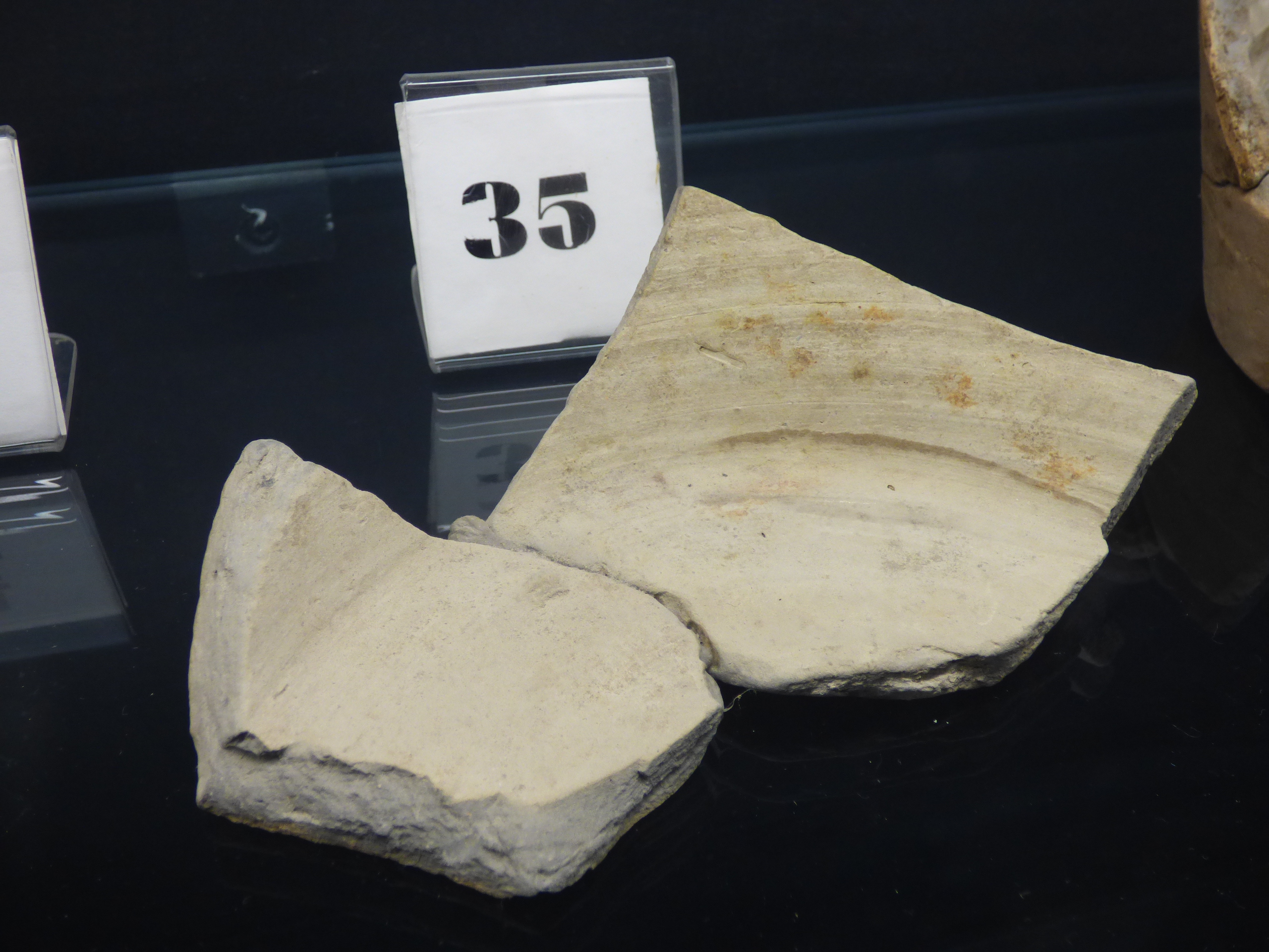 anforaceo - bottega umbra (secc. XIII-XV)