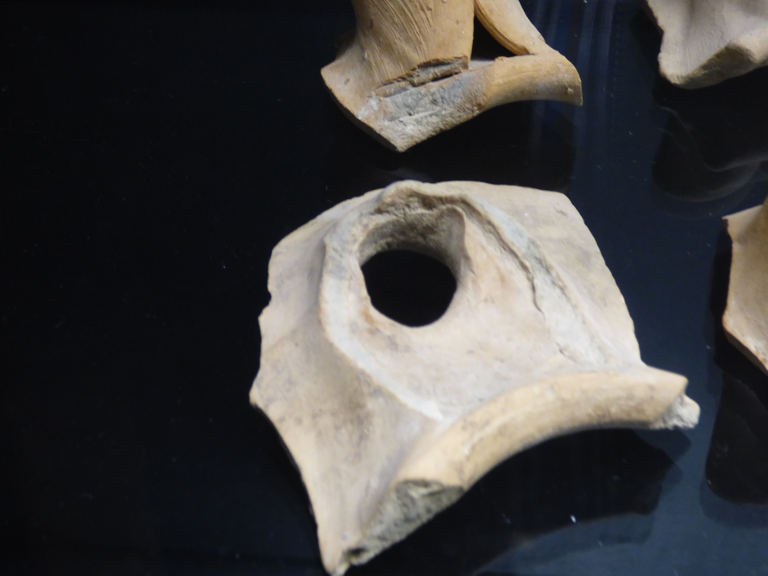 anforaceo - bottega umbra (secc. XIII-XV)