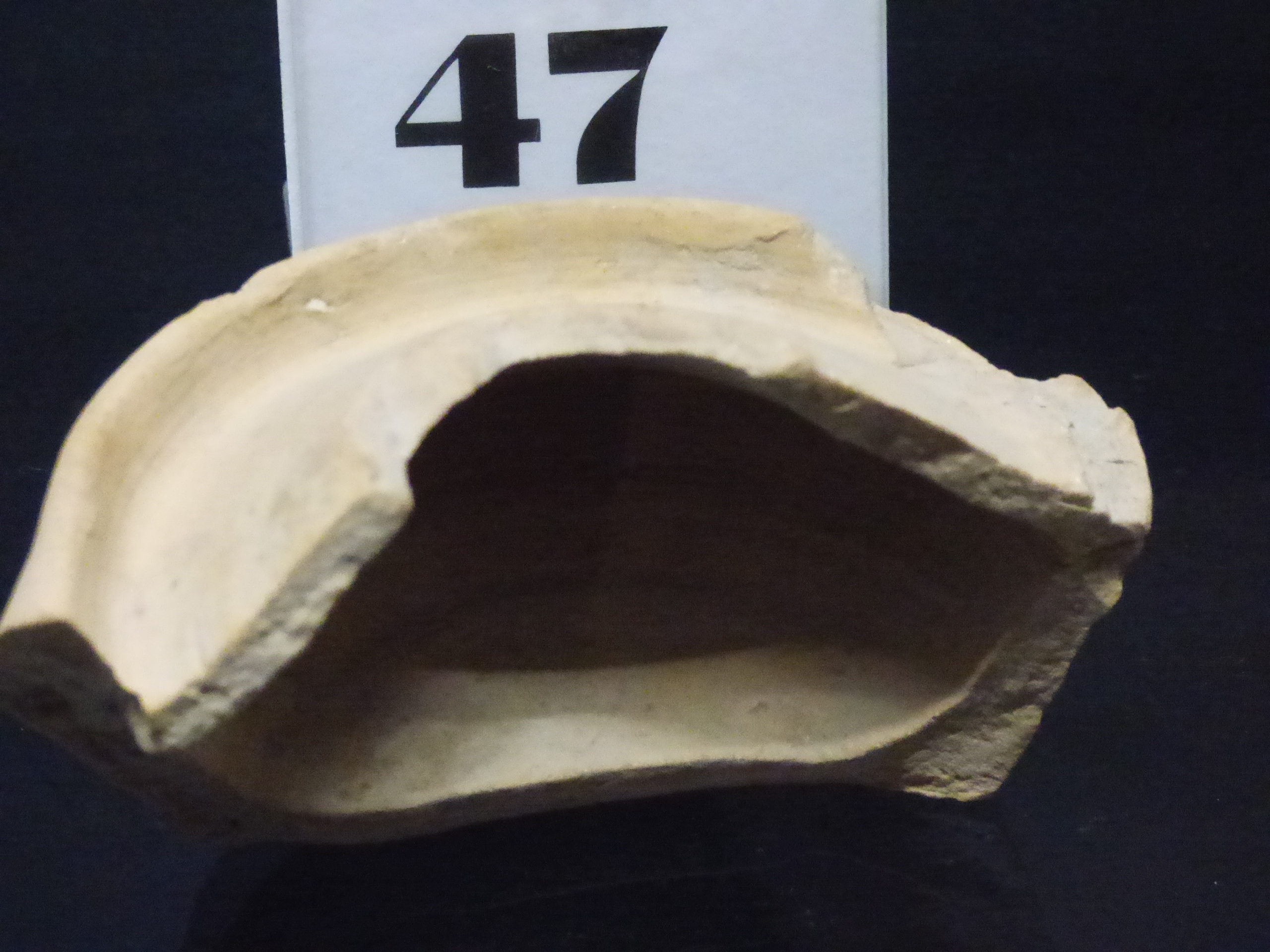 truffetta - bottega umbra (secc. XIII-XIV)