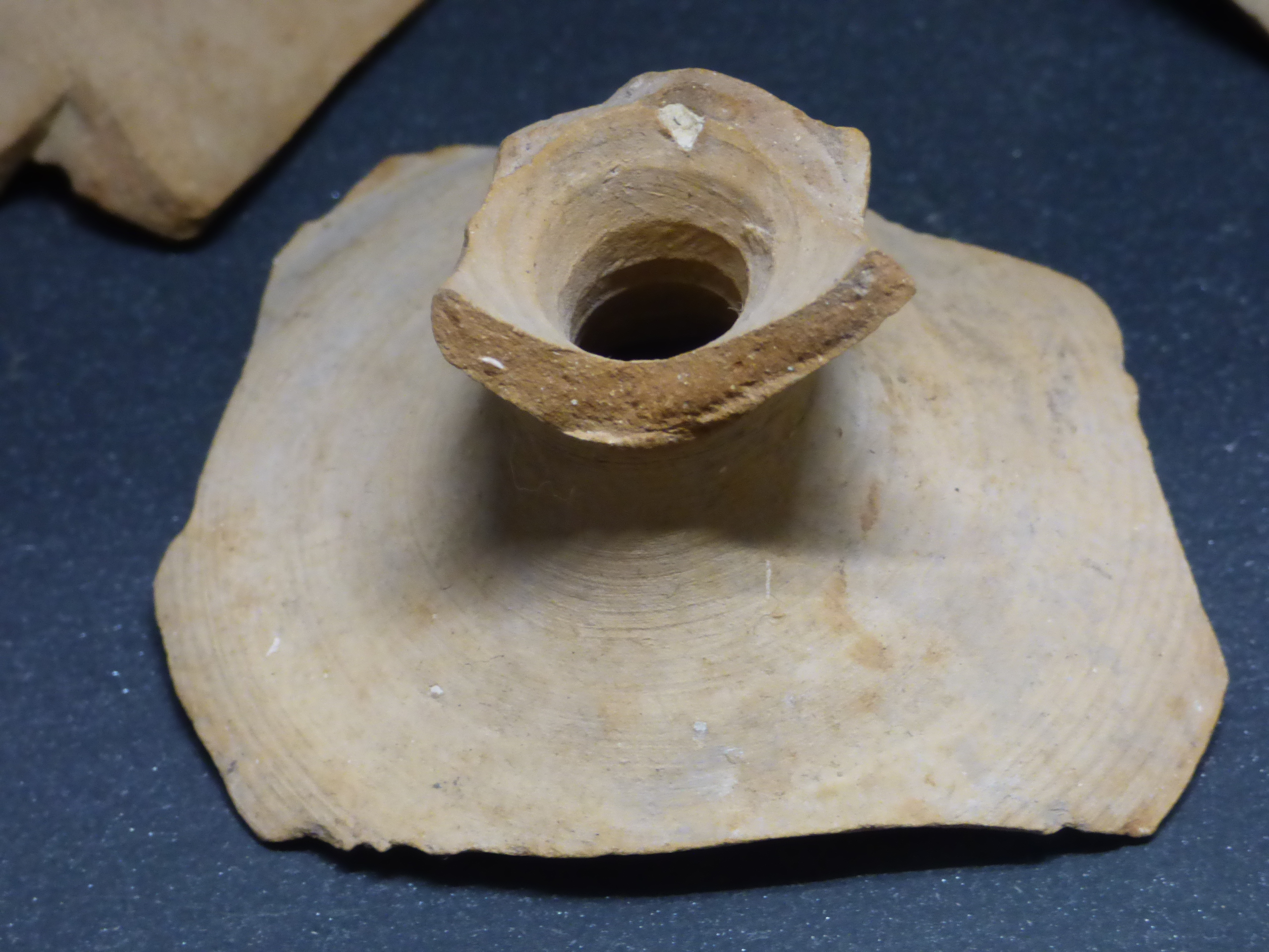 tazzina - bottega umbra (secc. XIV-XV)