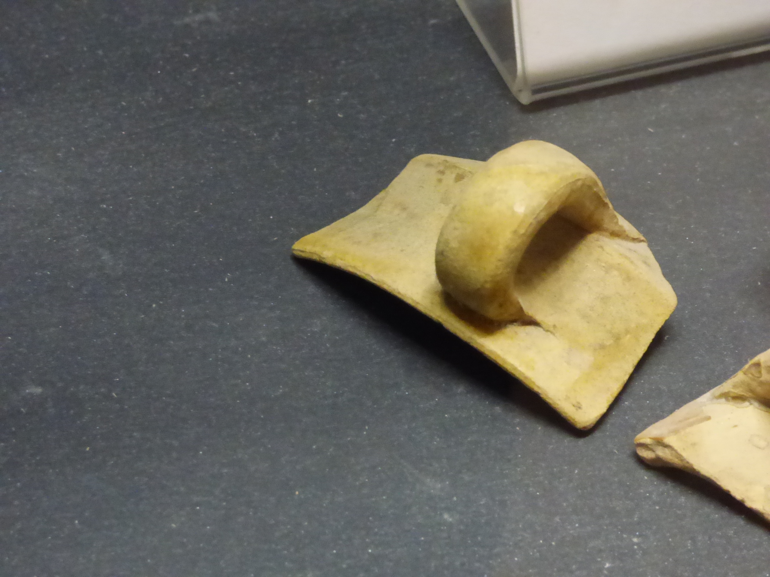 tazzina - bottega umbra (secc. XIV-XV)