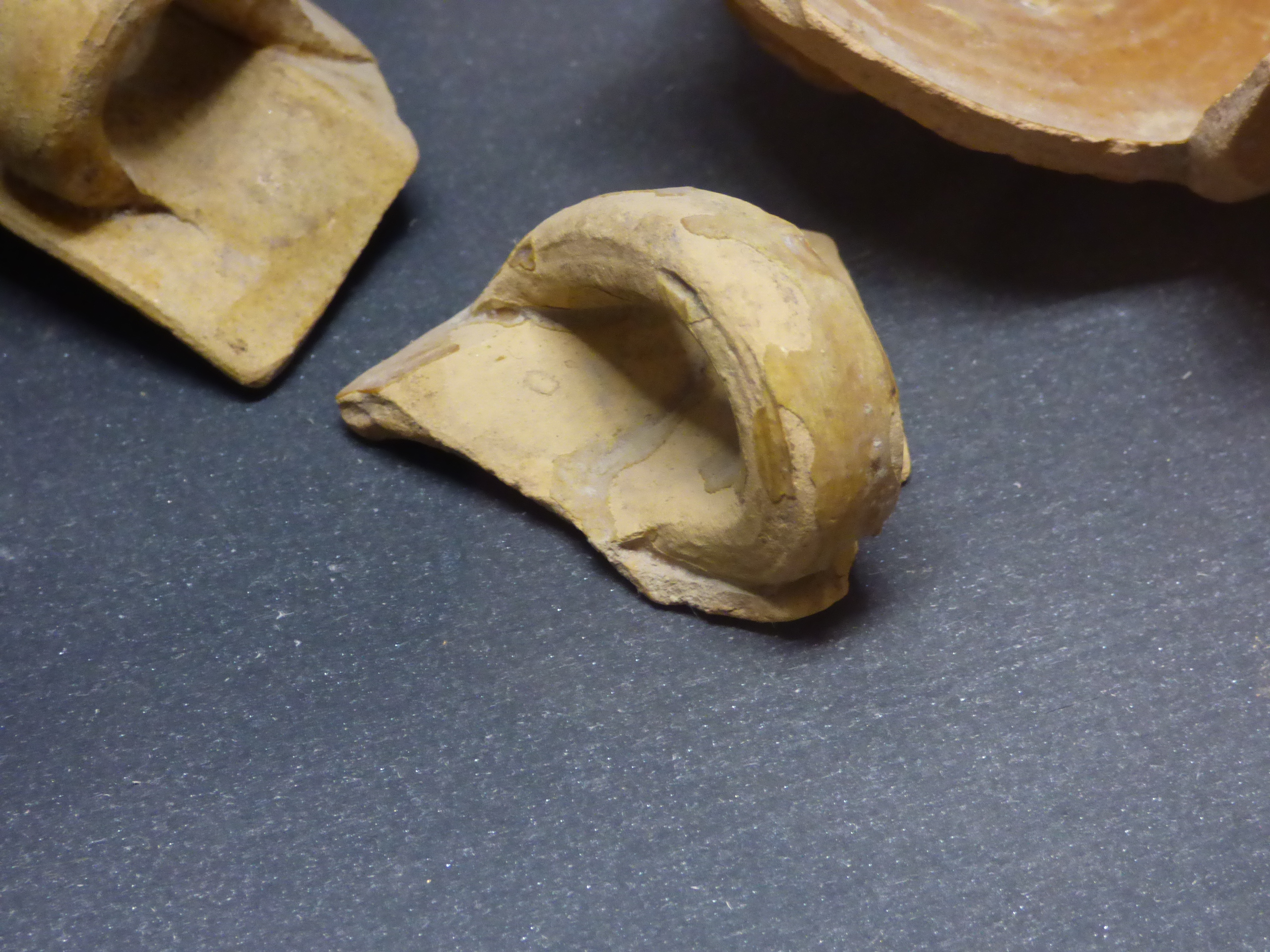 tazzina - bottega umbra (secc. XIV-XV)