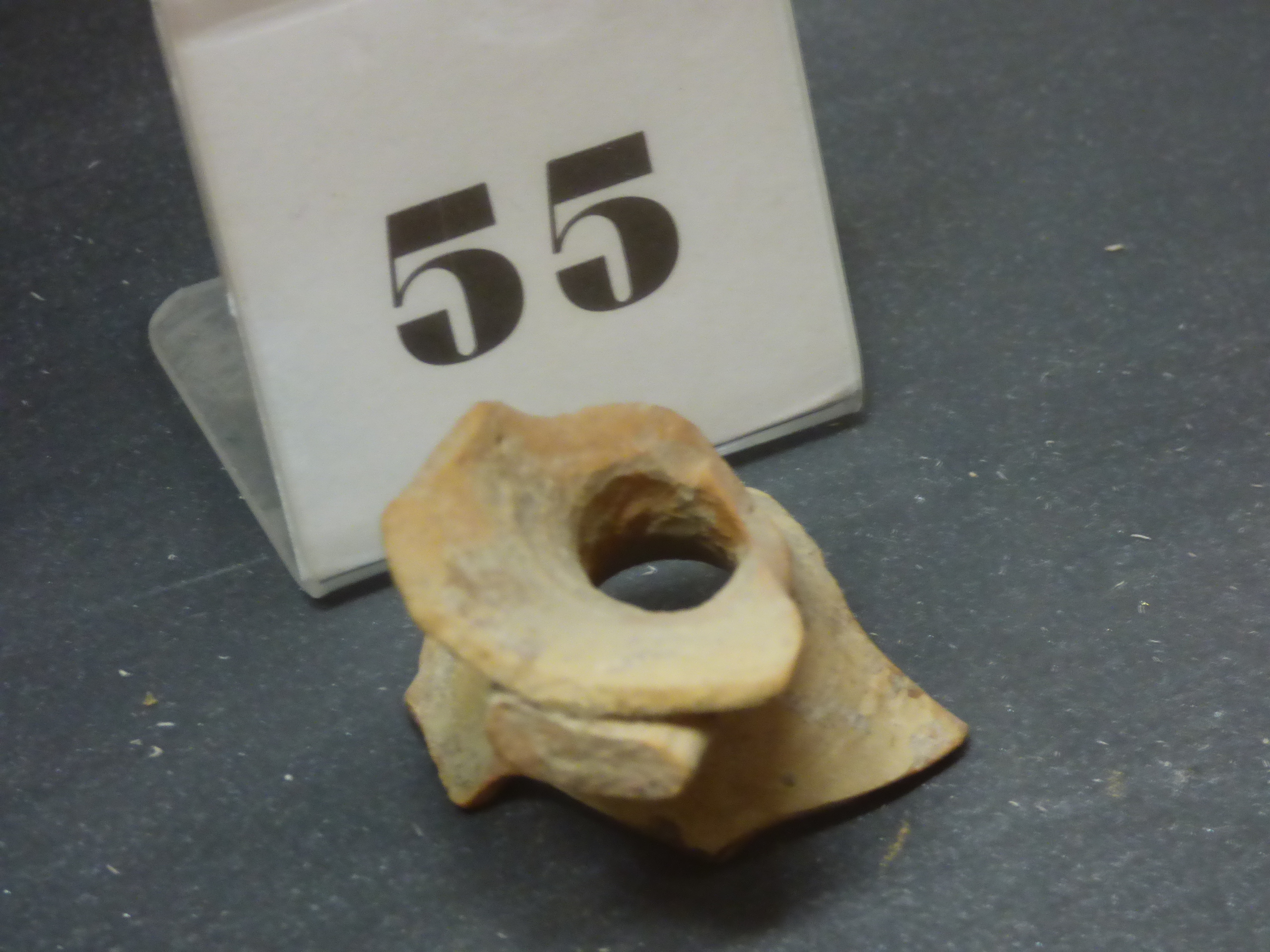 calice - bottega umbra (secc. XIV-XV)