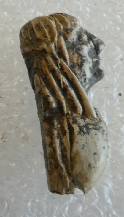 SINGOLO OGGETTO/ statuetta, SECOLI/ VII a.C