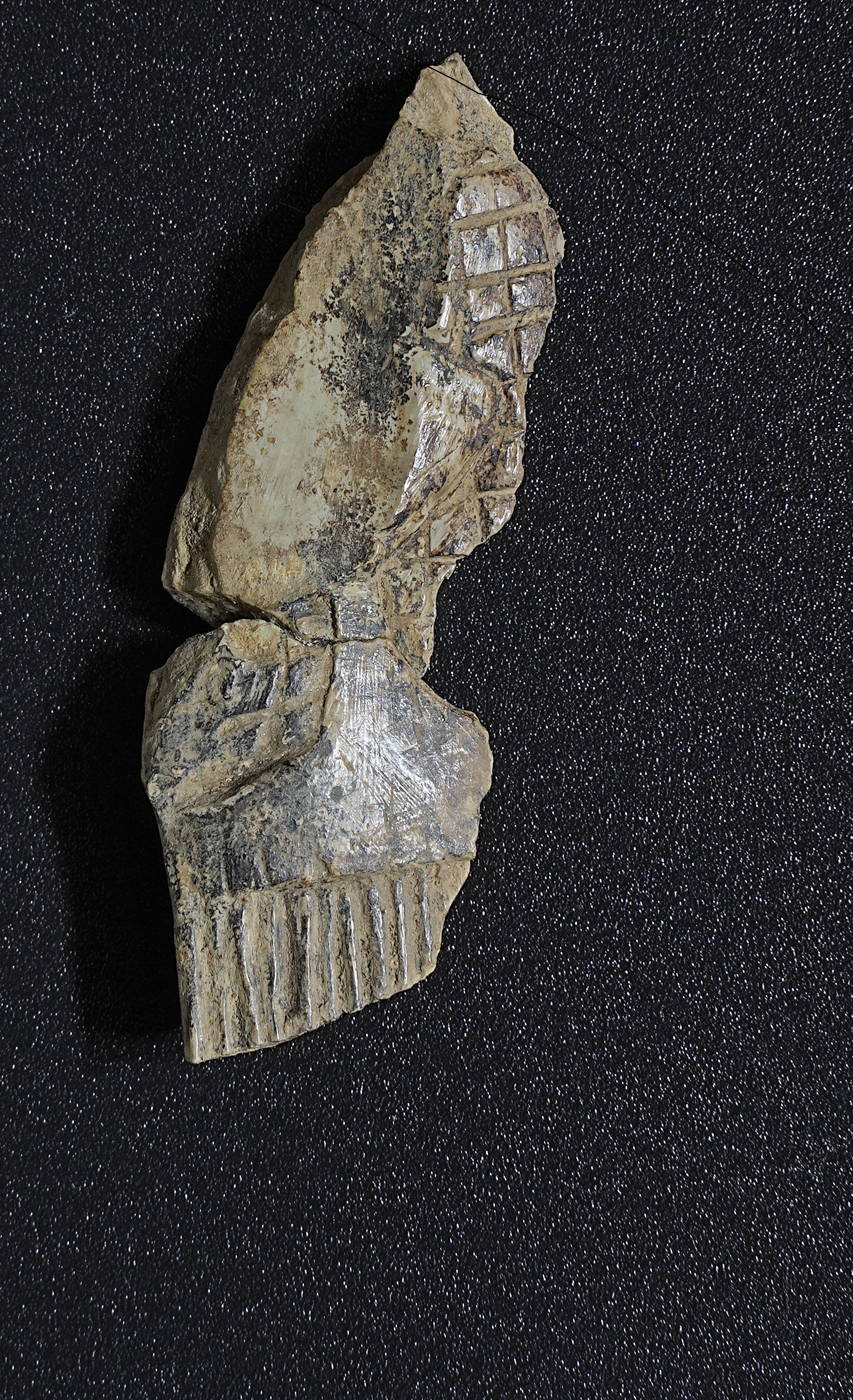 SINGOLO OGGETTO/ placca, SECOLI/ VII a.C