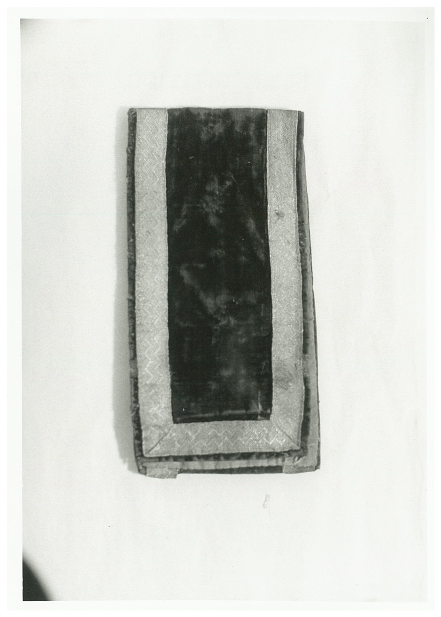 Fascia da braccio (XIX)