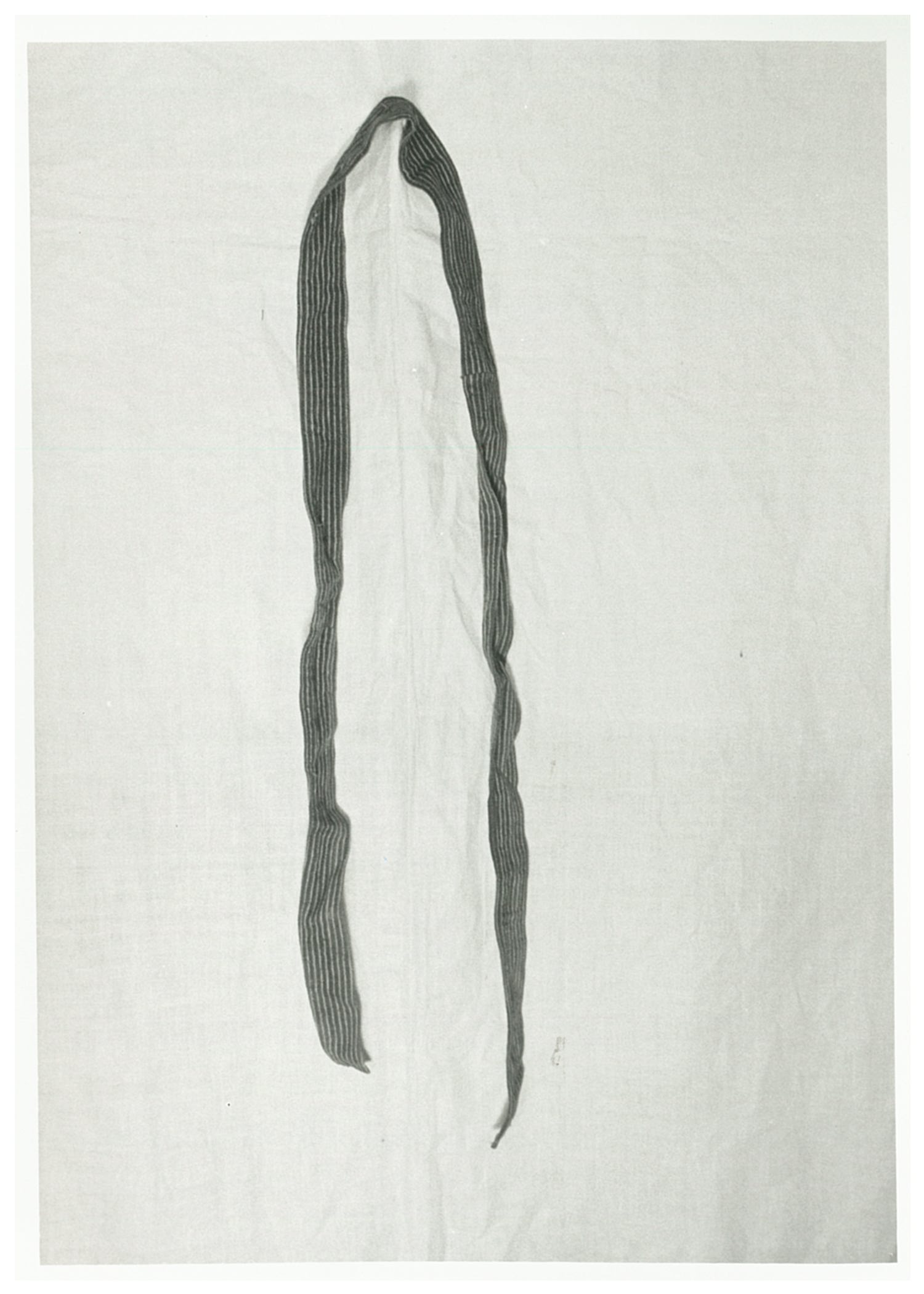 cintura da camice (XX)